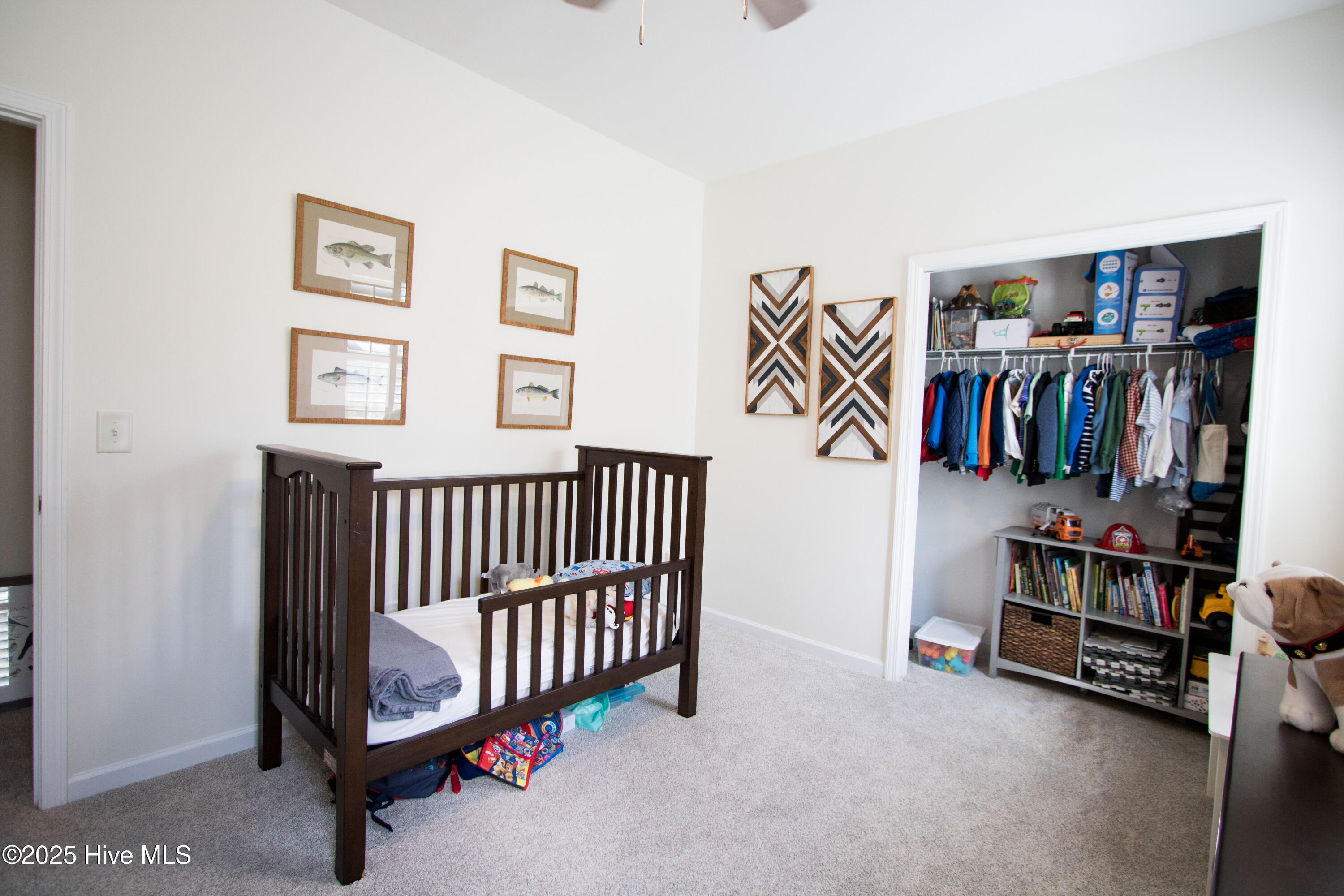 100507772 | Photo 18