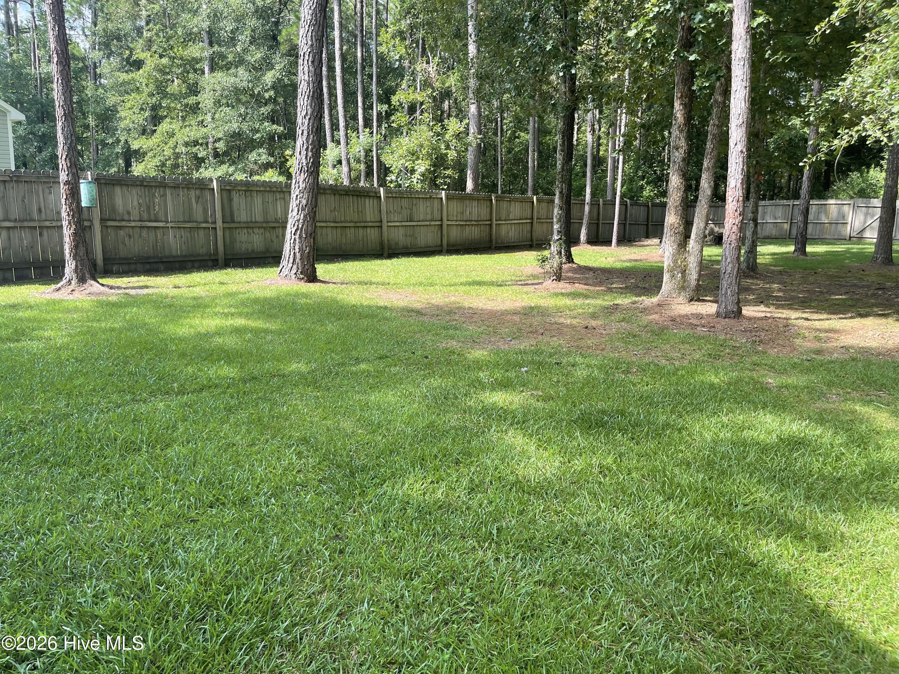 100562553 | Photo 54