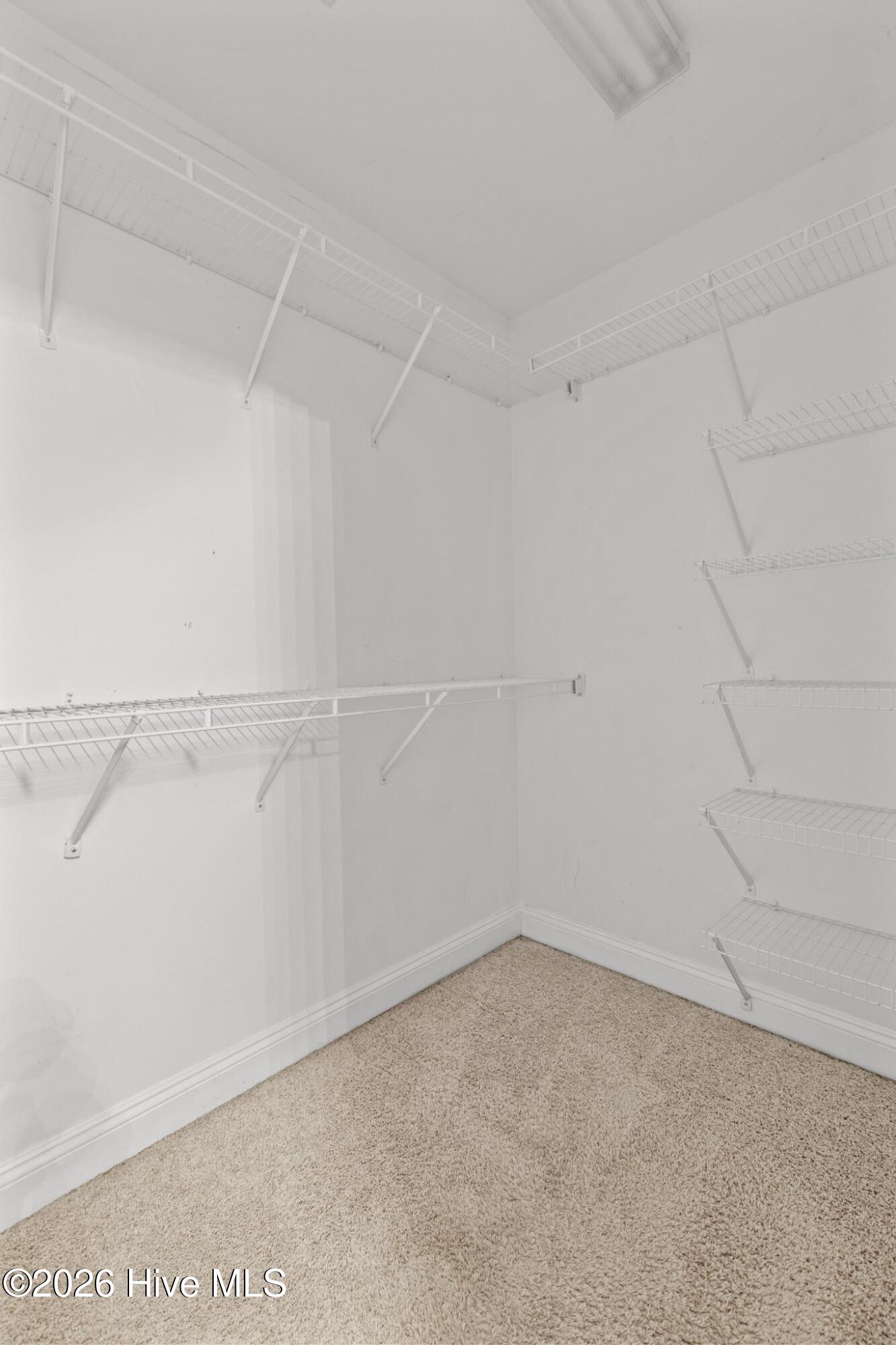 100565553 | Photo 20