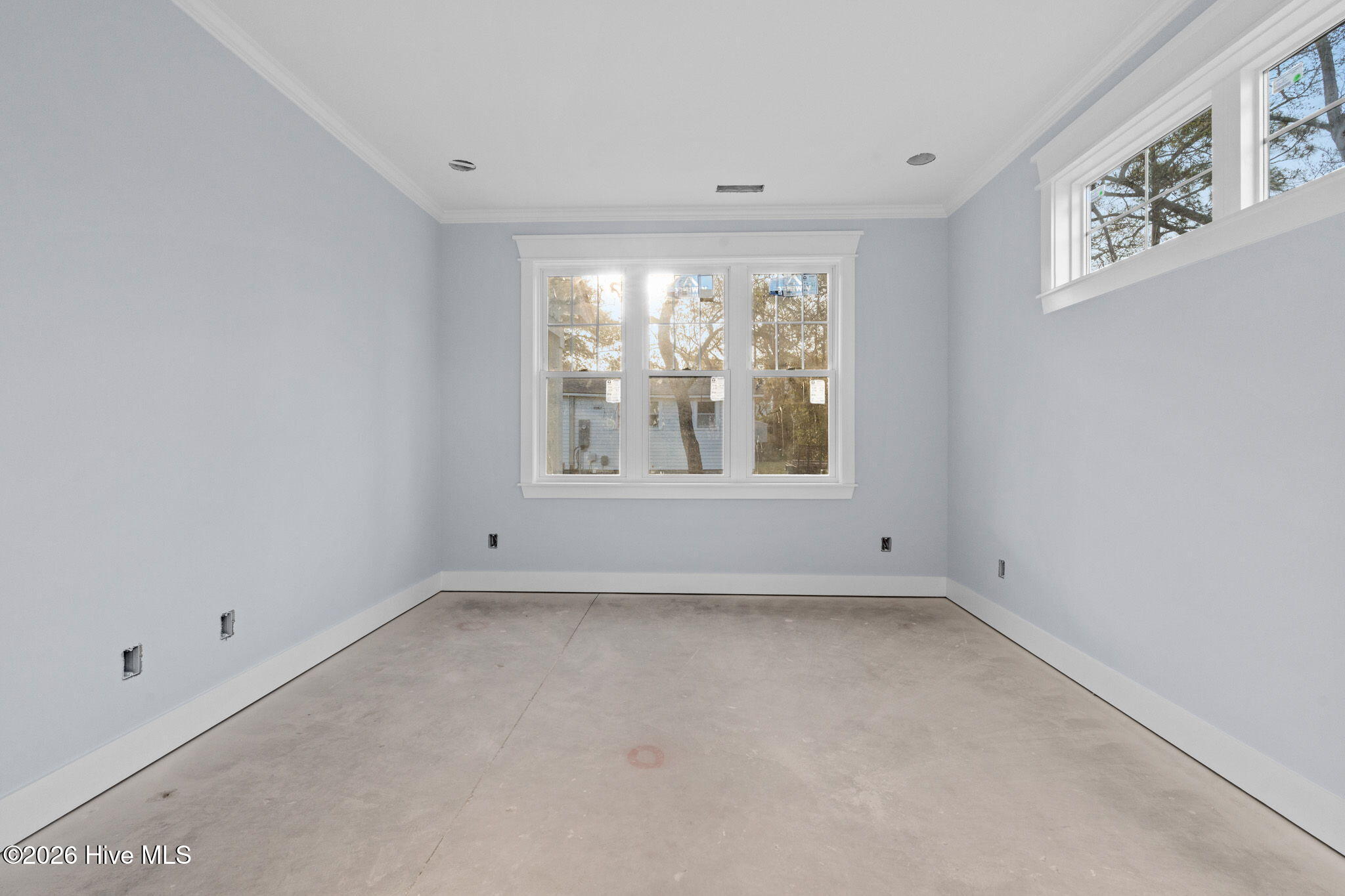 100546665 | Photo 10