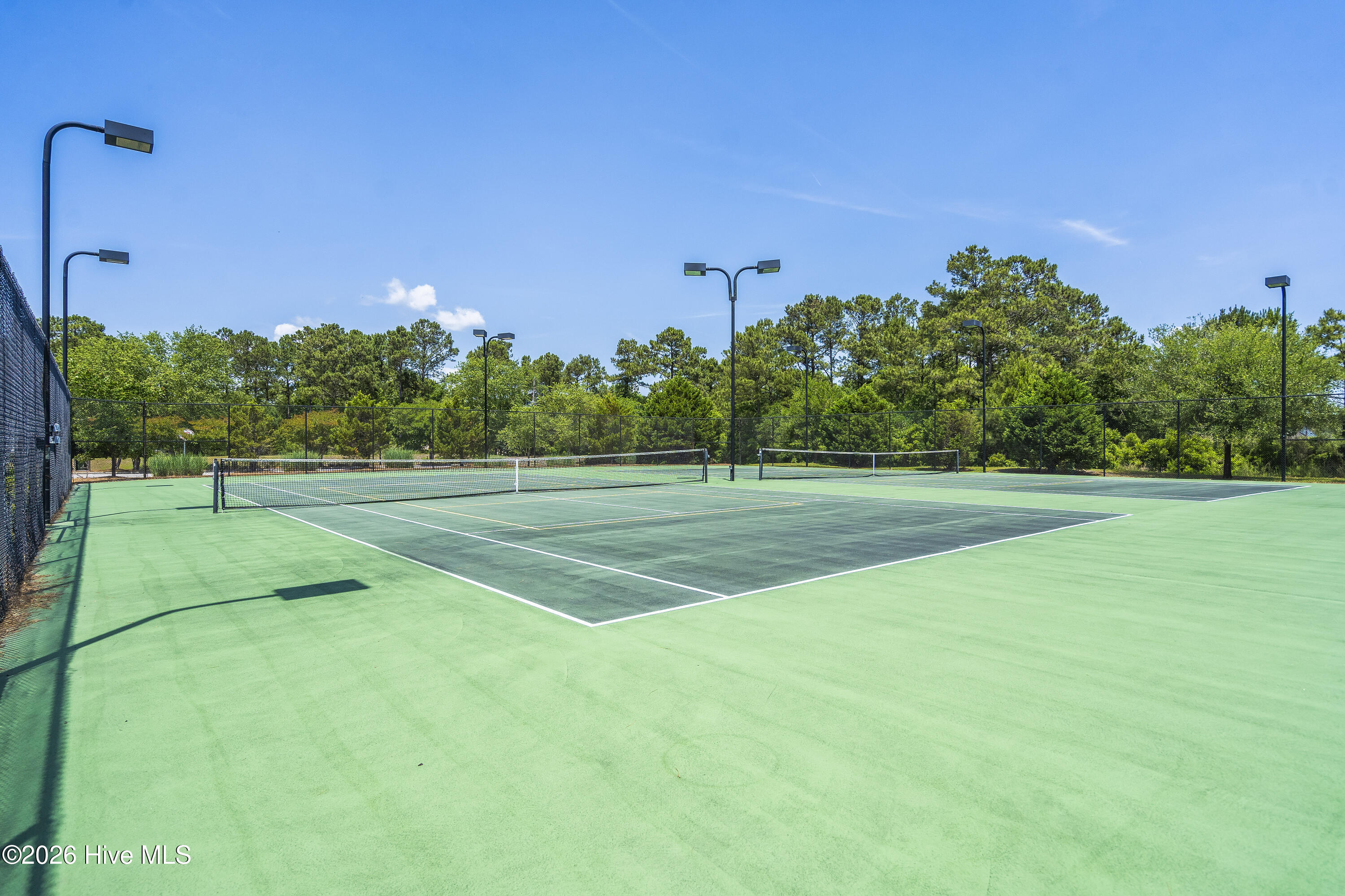 100562110 | Photo 112