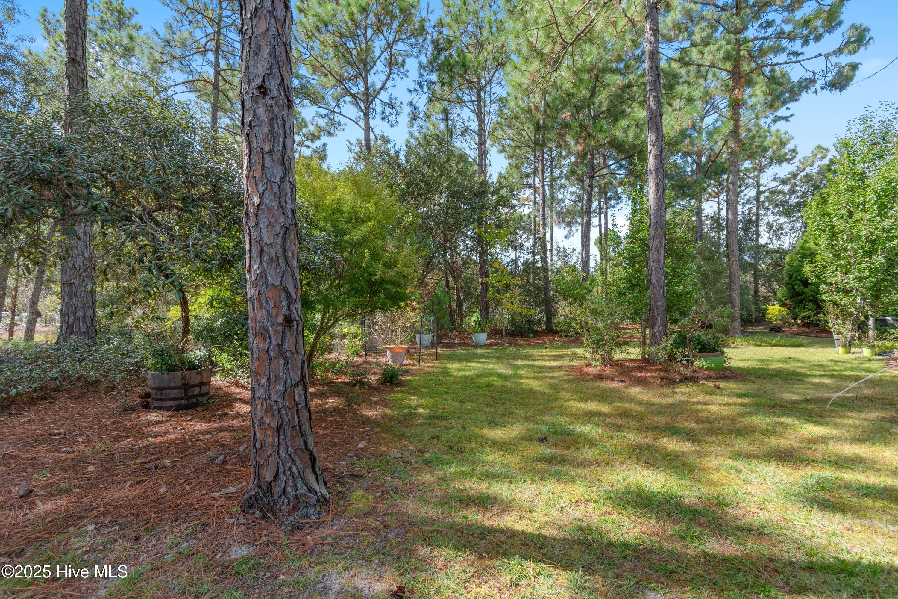 100534915 | Photo 12