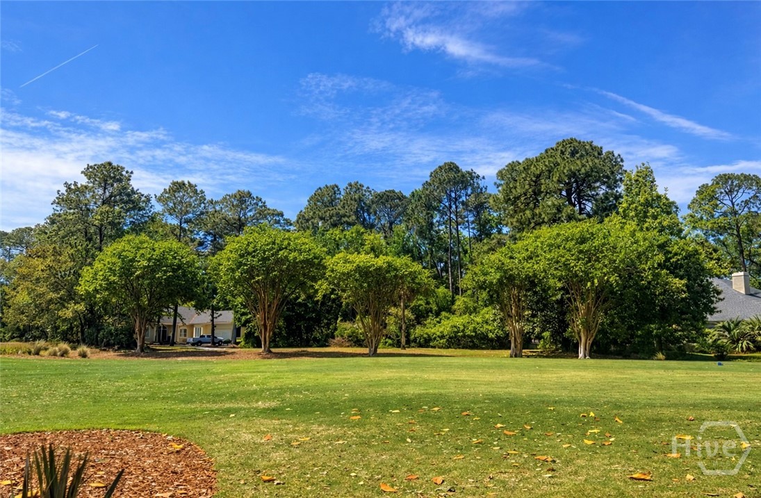 View from backyard (if bushes and shrubbery removed)