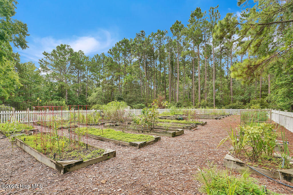 100541606 | Photo 52