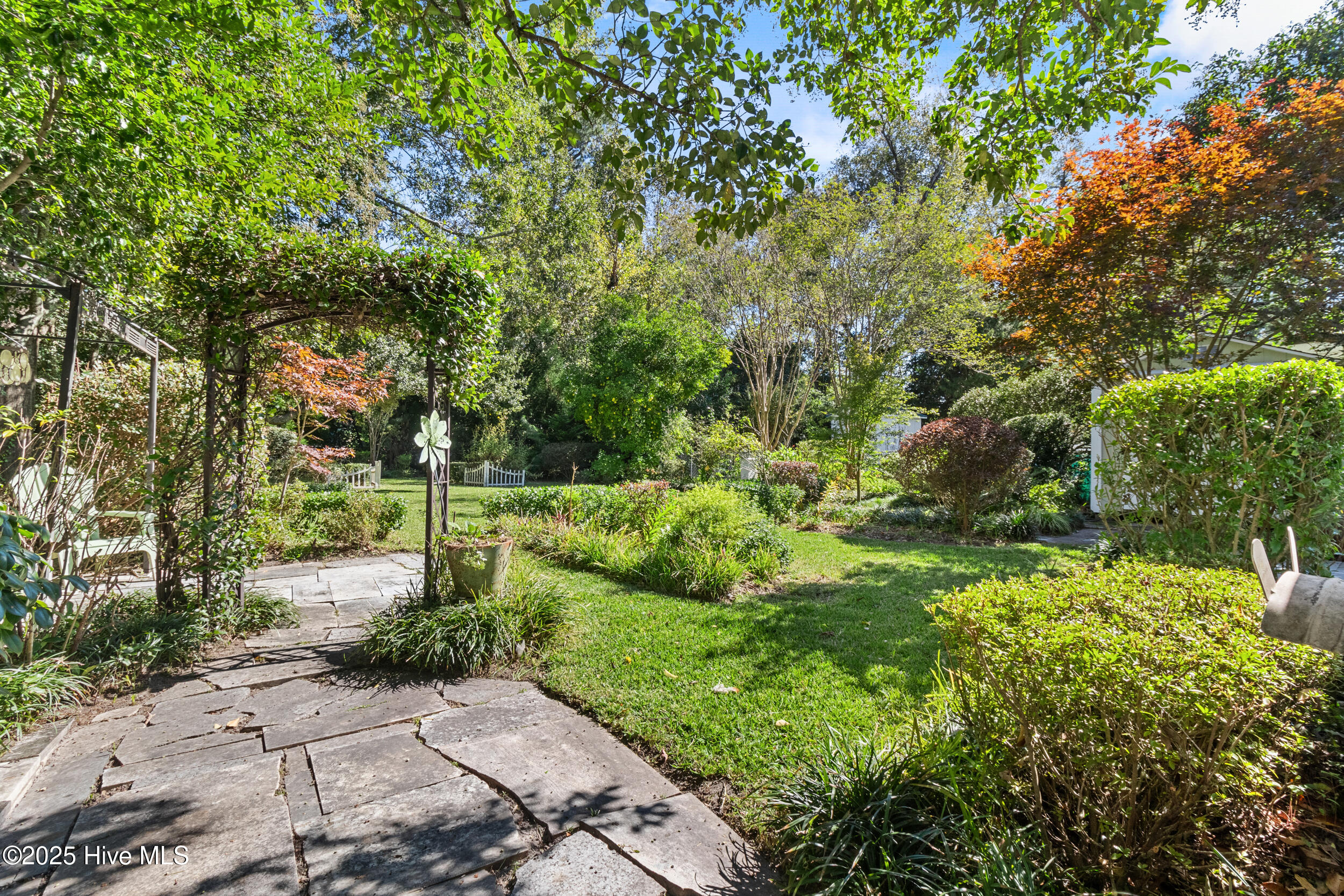 100538519 | Photo 22