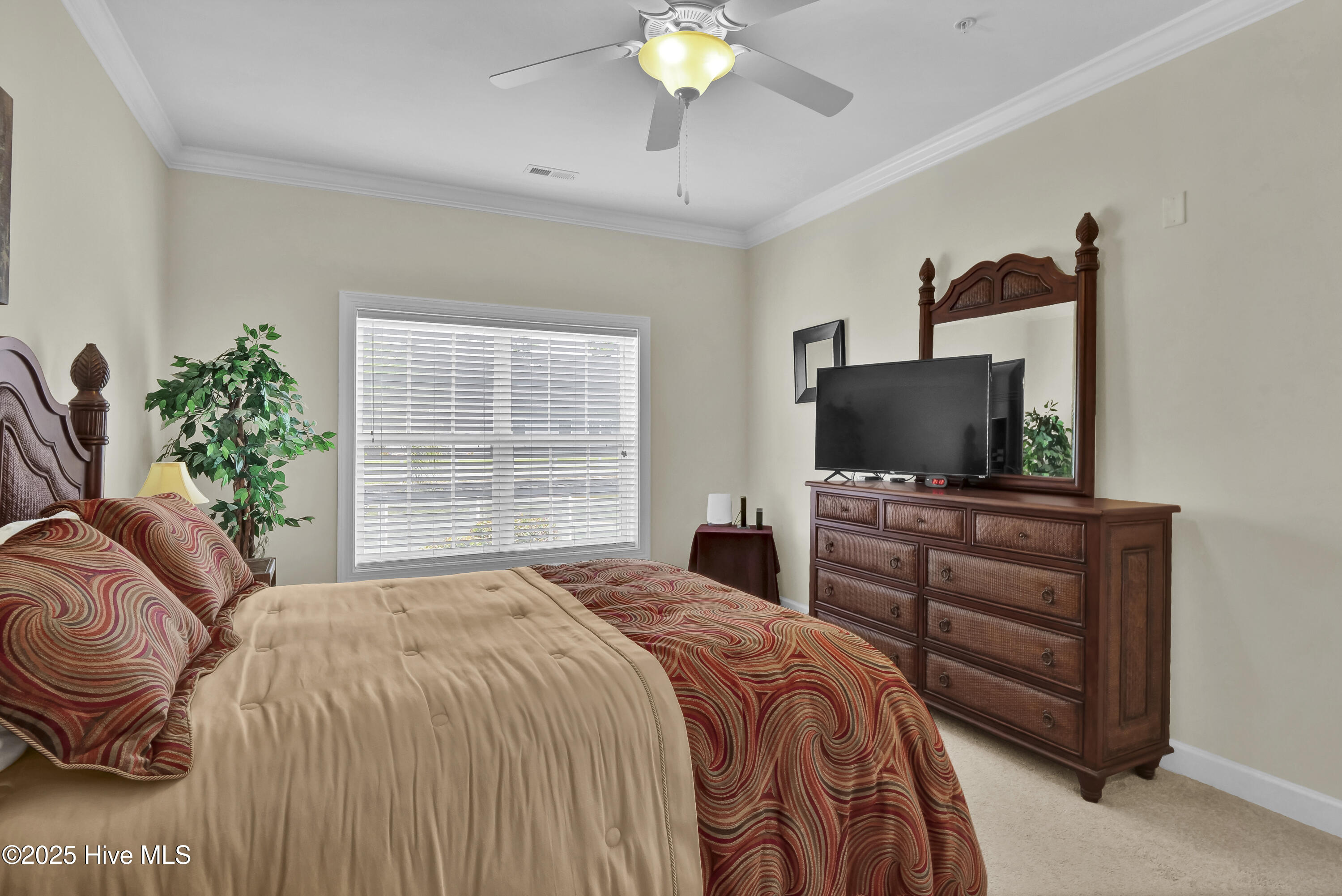 100515209 | Photo 16