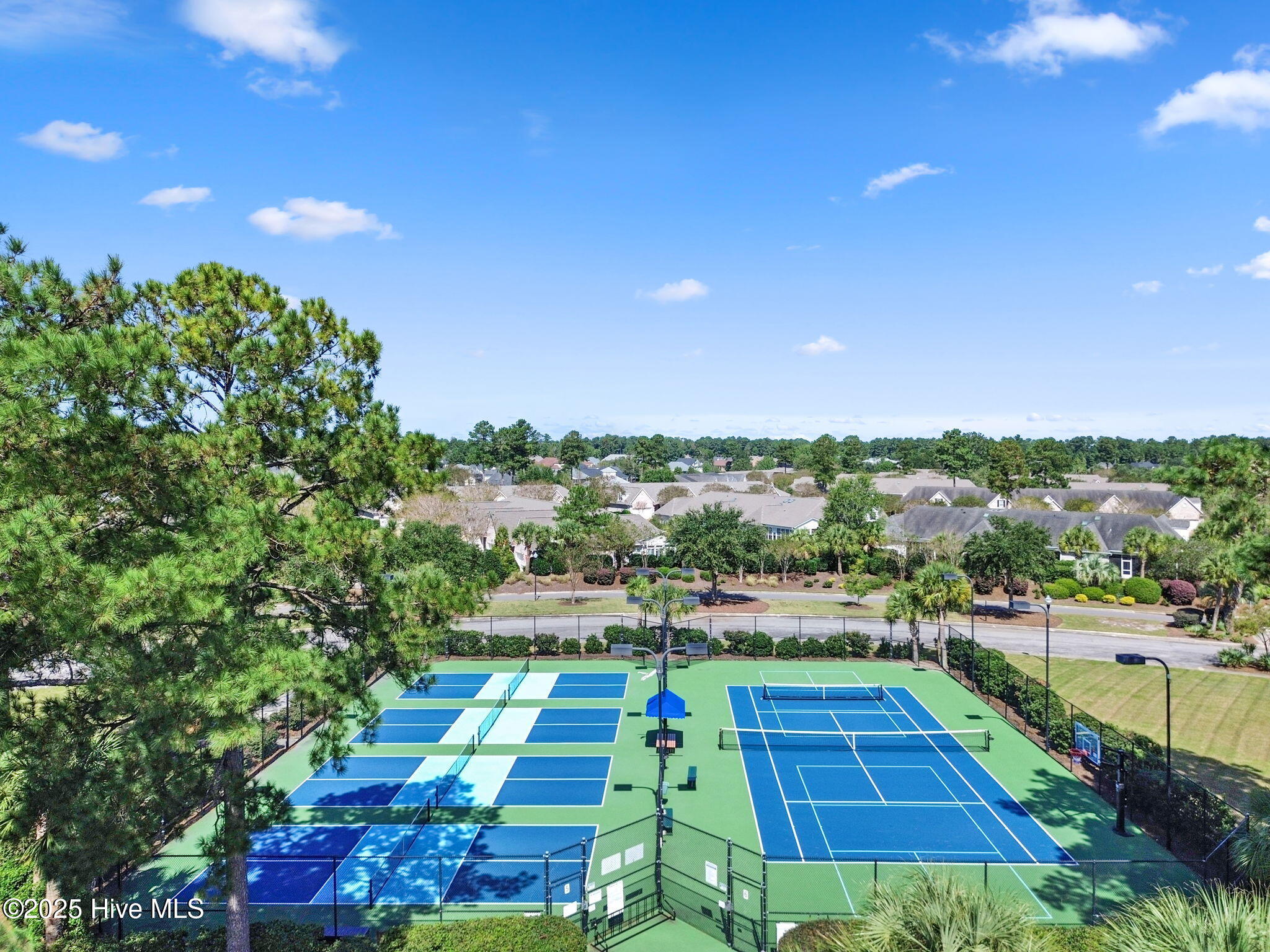 100535127 | Photo 39