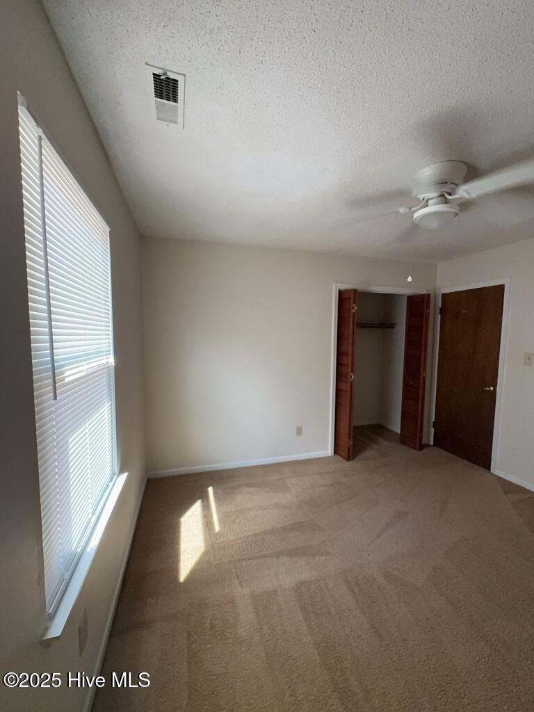 100534666 | Photo 12