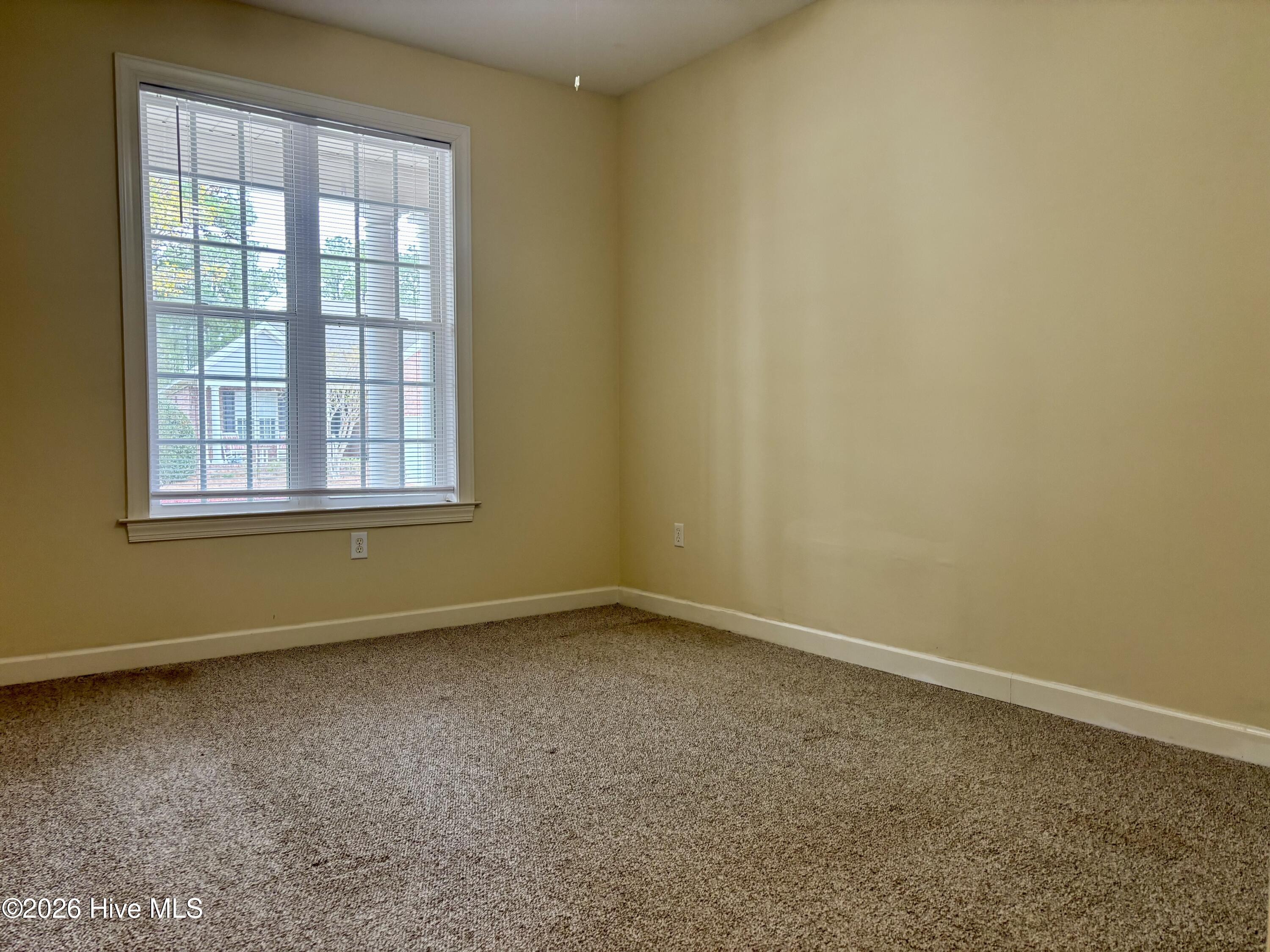 100548905 | Photo 21