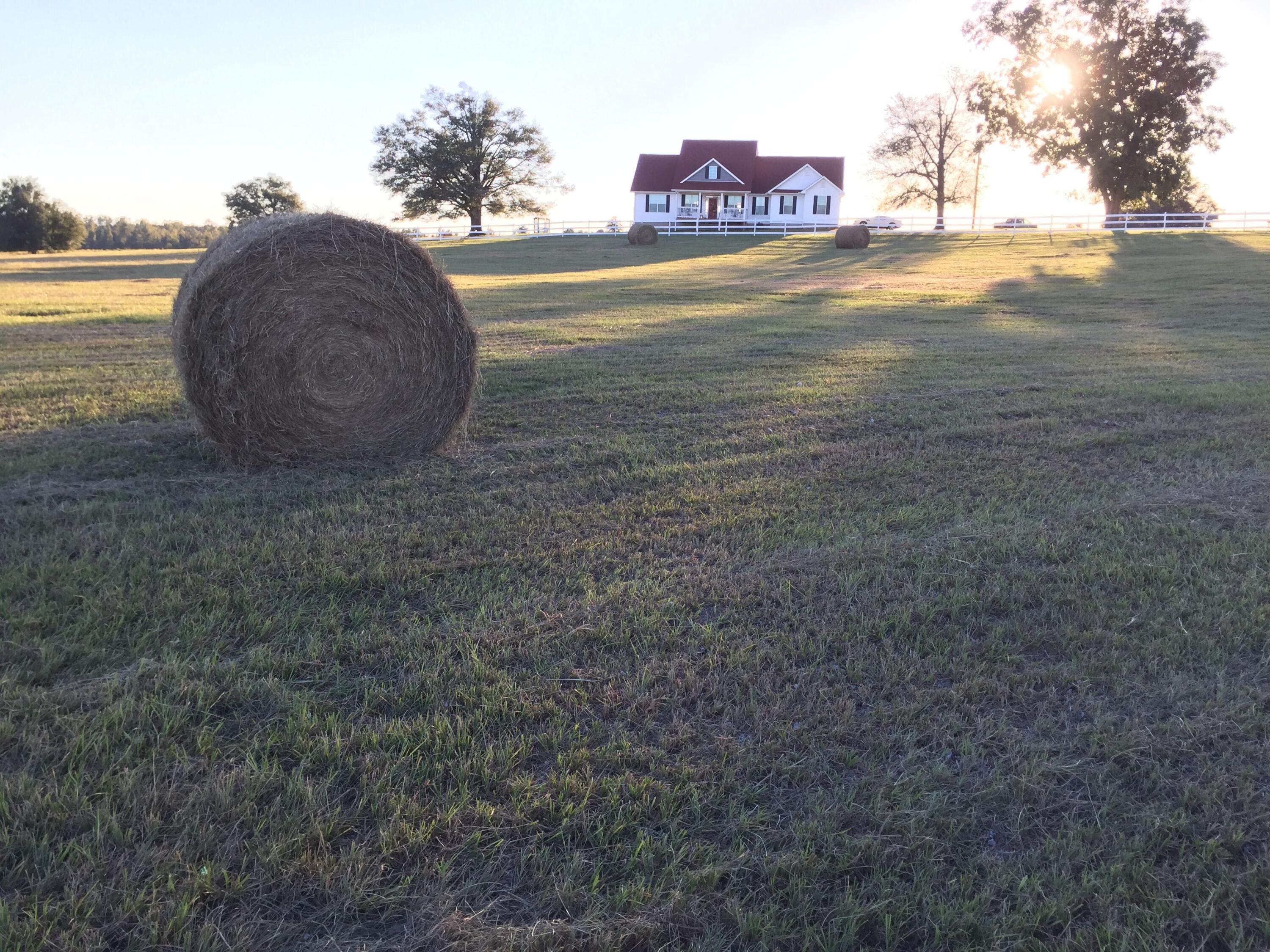 Hay Bale