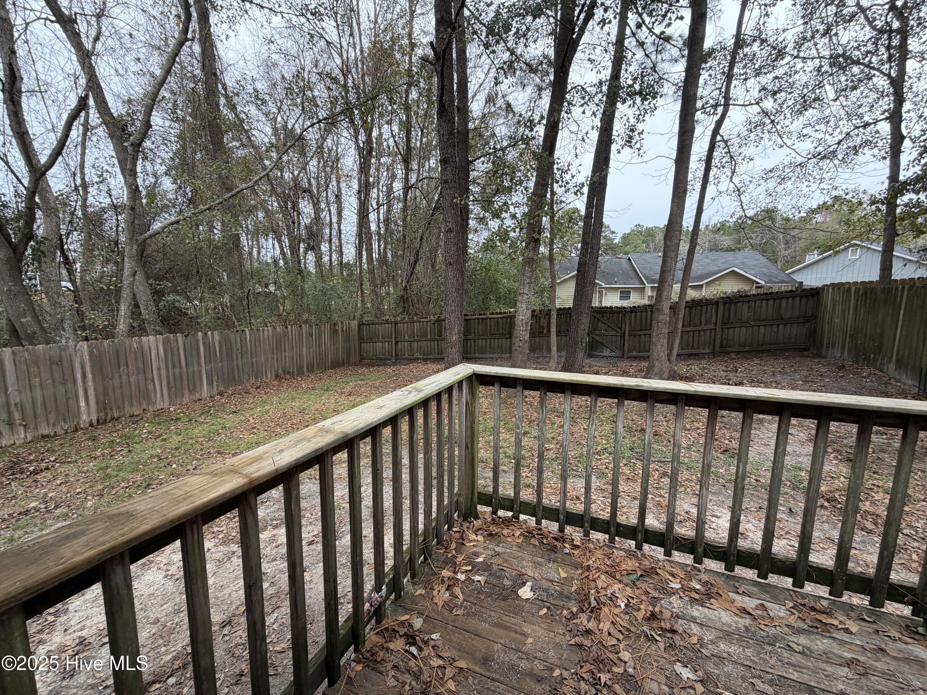 100539782 | Photo 14