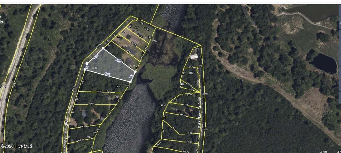 100565364 | Photo 12