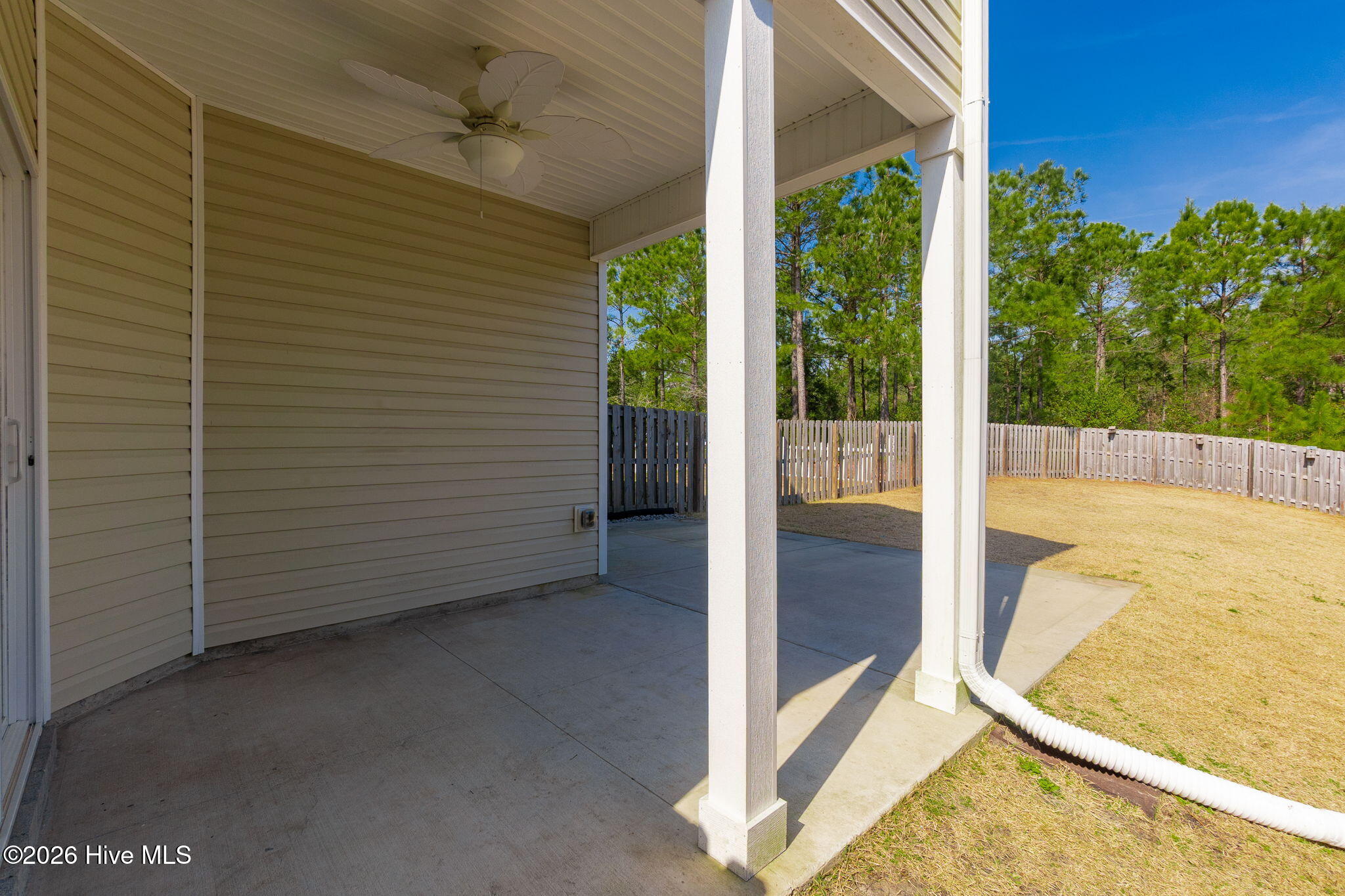 100558093 | Photo 31