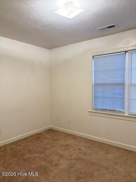 100565556 | Photo 15