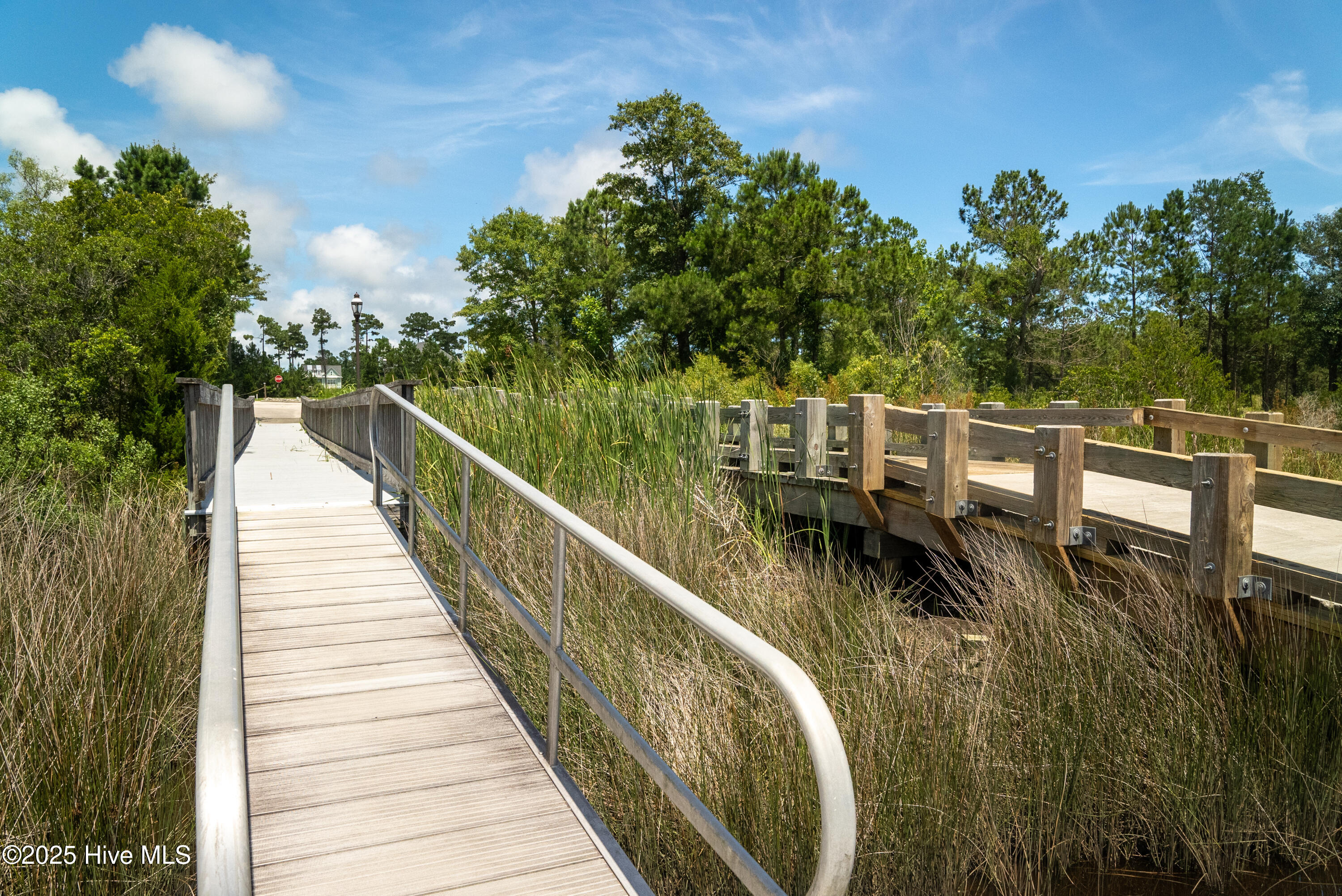 100552235 | Photo 59