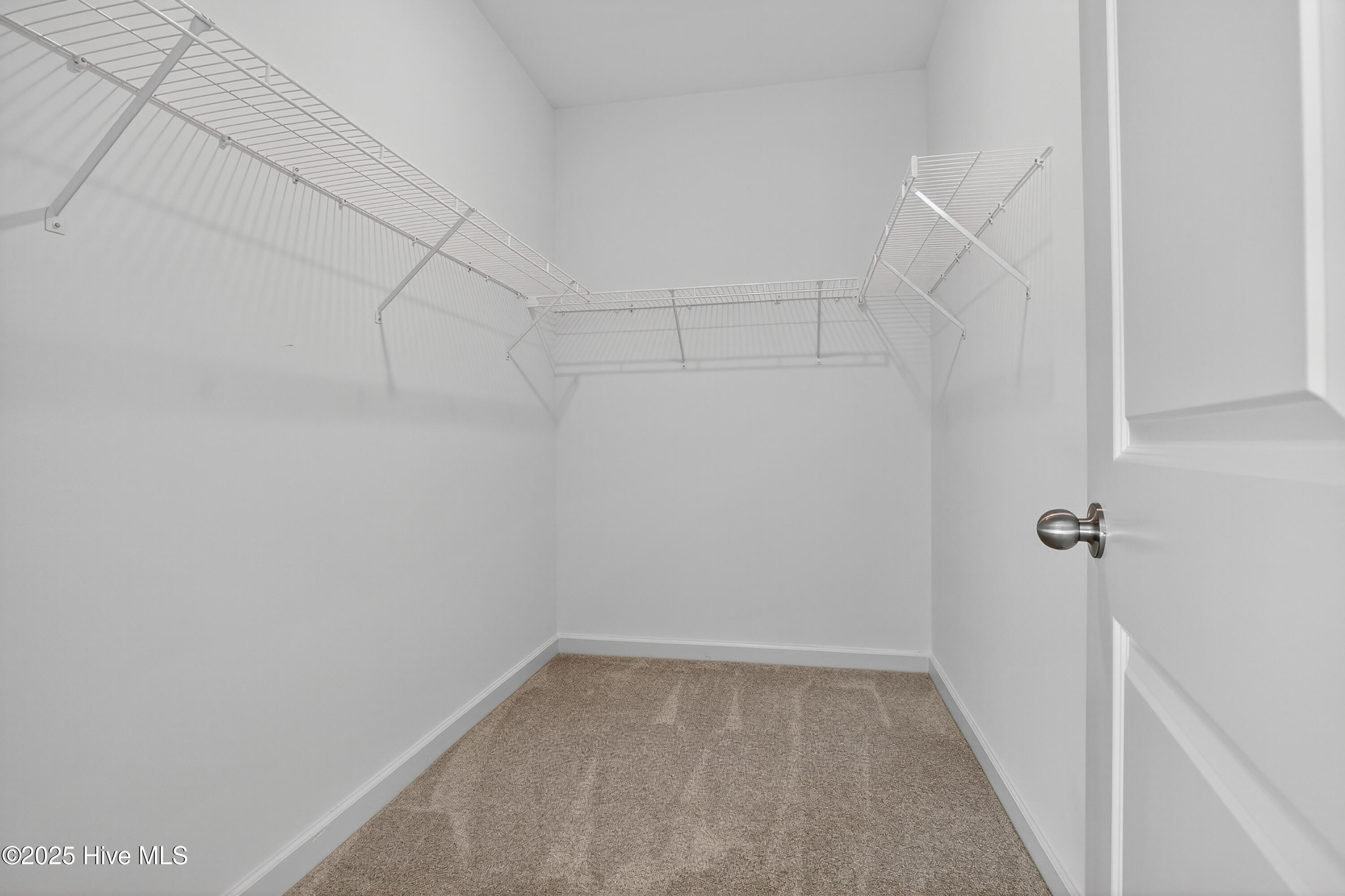 100505090 | Photo 22