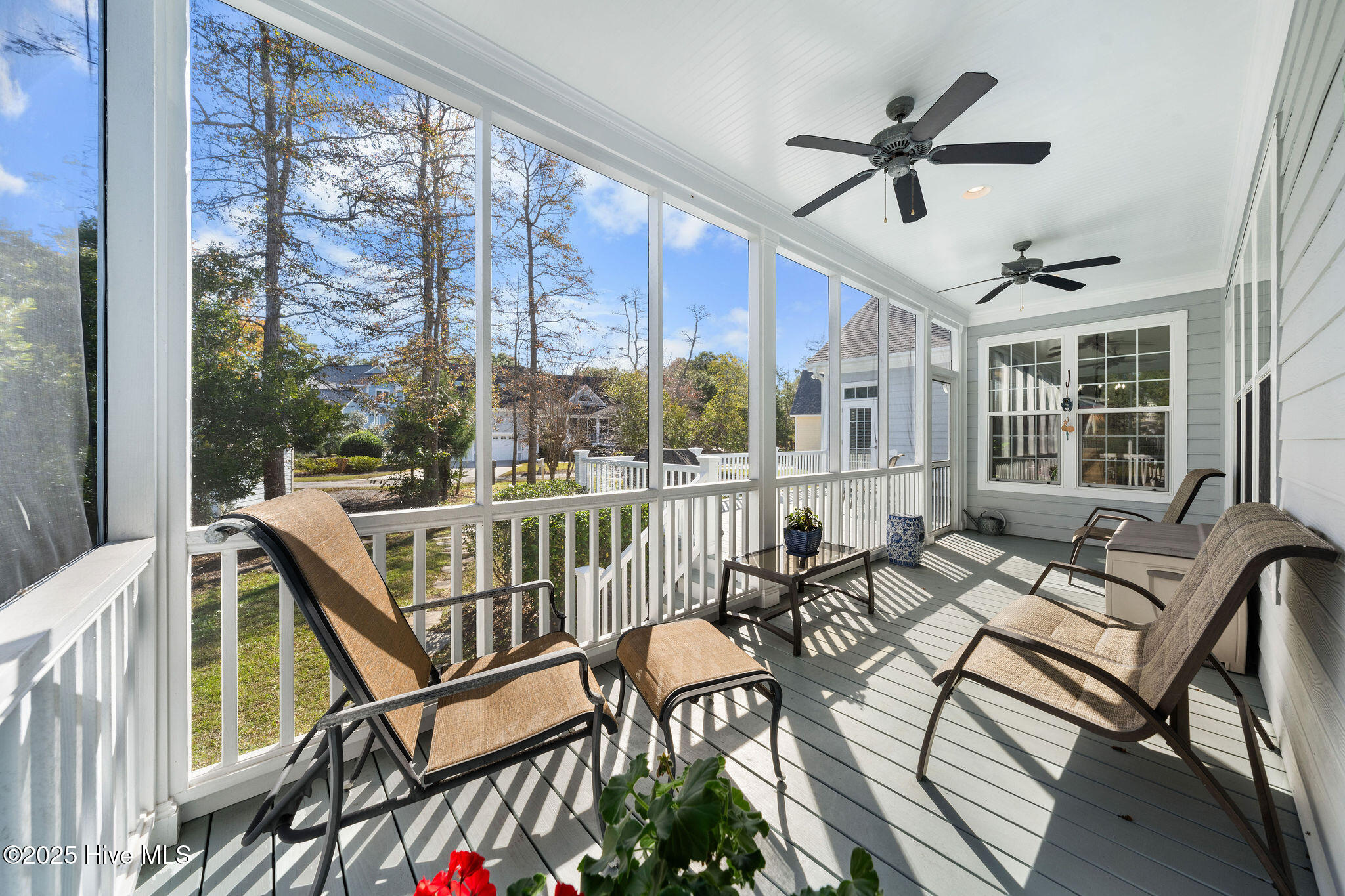 100552412 | Photo 35