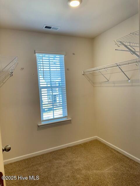 1808 Gracie Lane