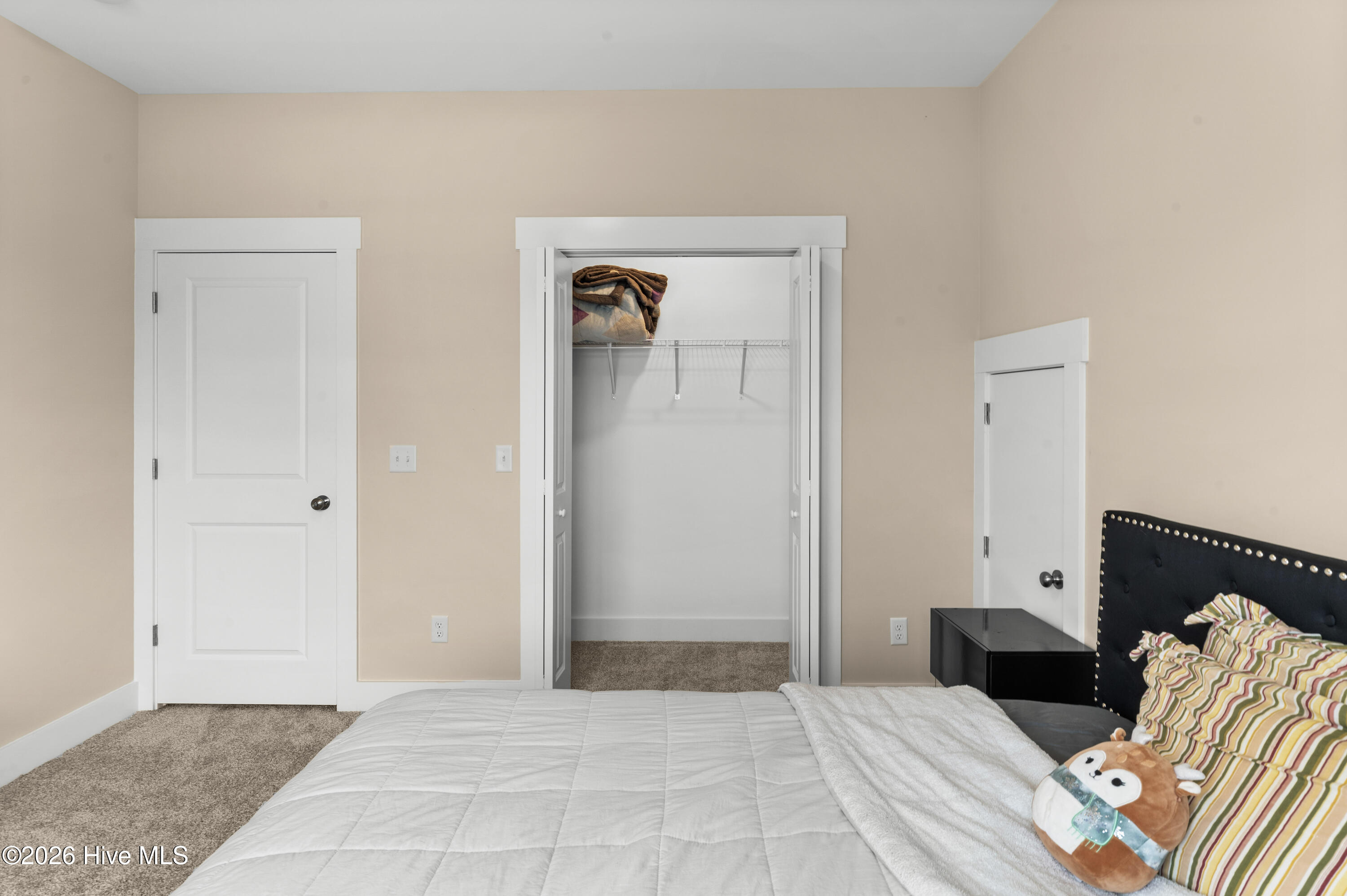 100569273 | Photo 48