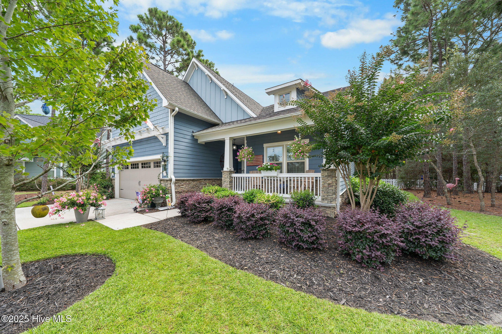 100529341 | Photo 54