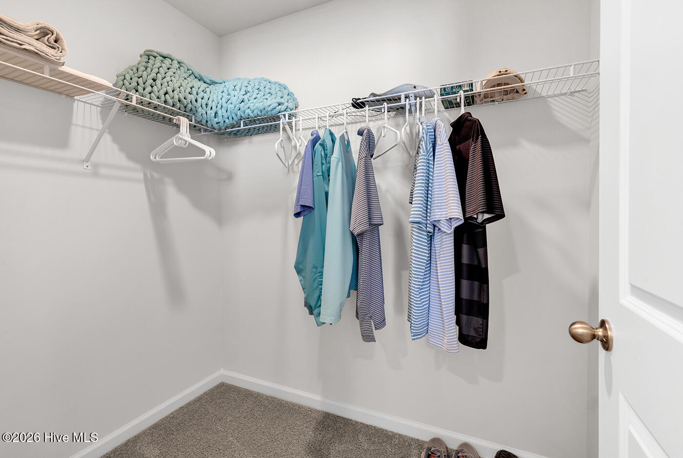 100554771 | Photo 22