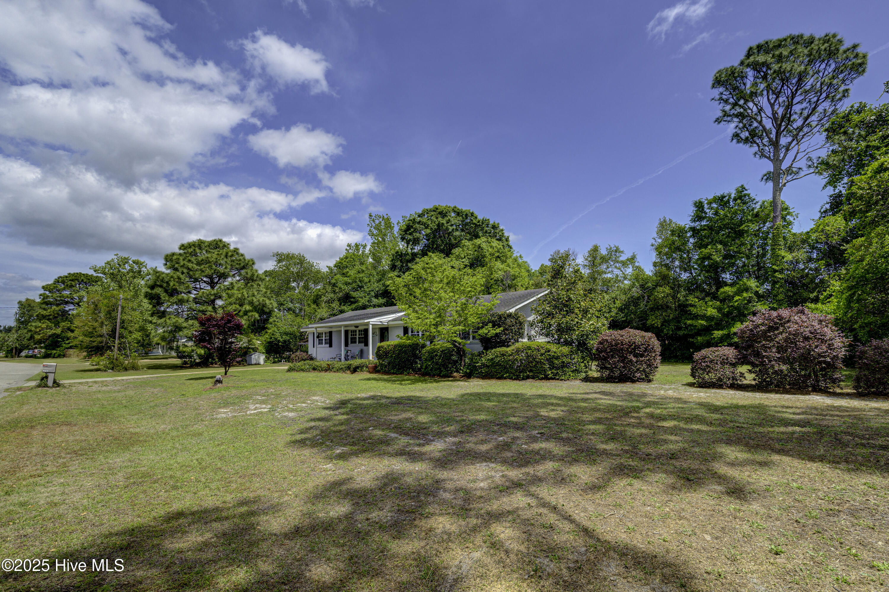 100525965 | Photo 40