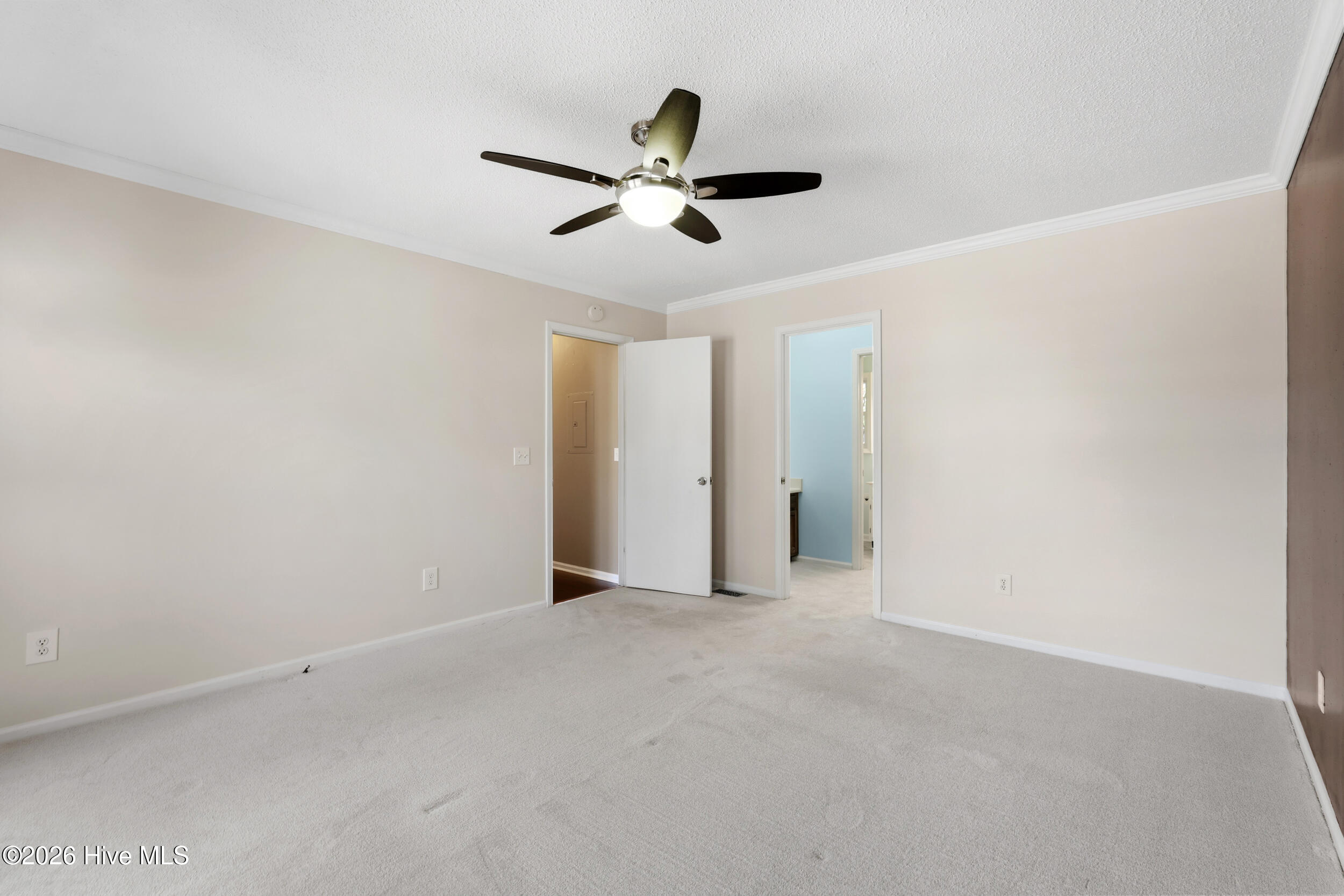 100556614 | Photo 19