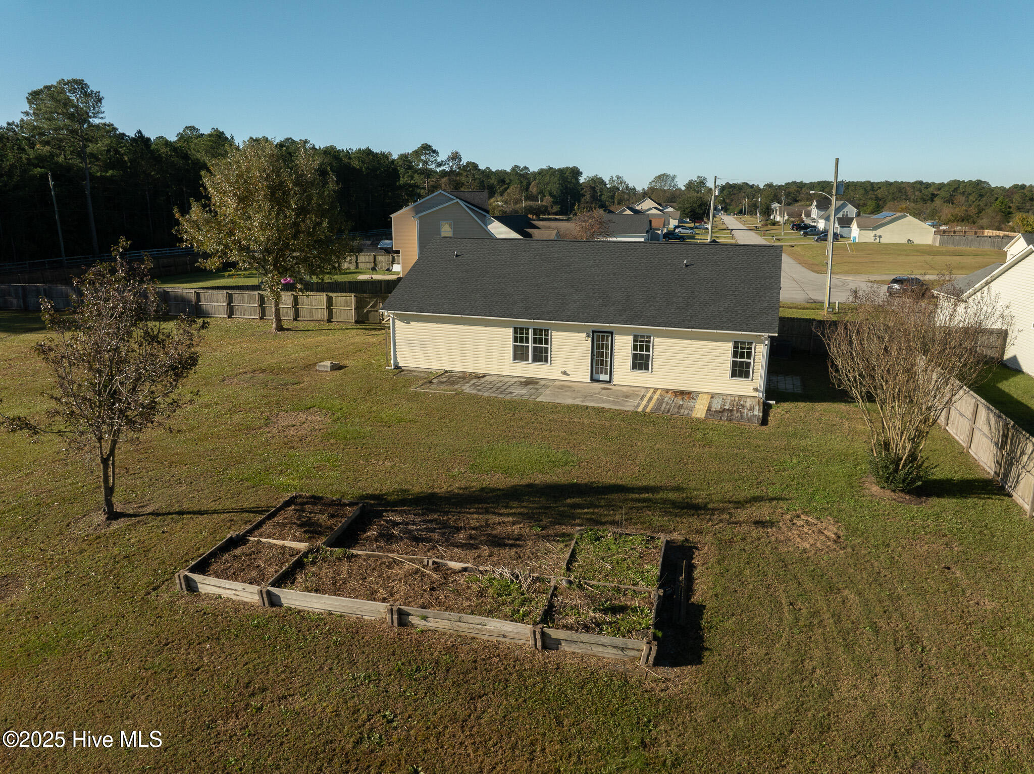 100539227 | Photo 44