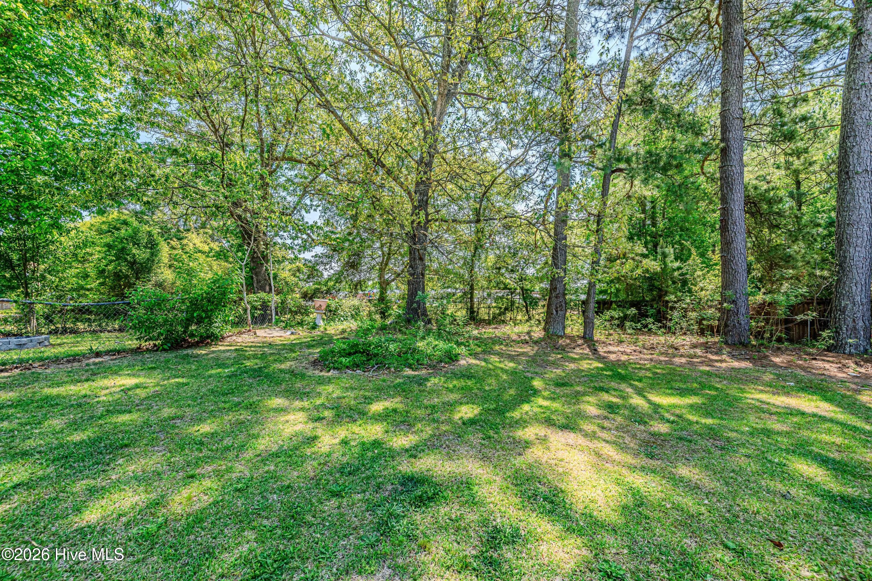 100568106 | Photo 59