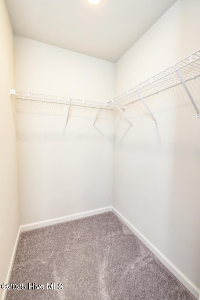 100521113 | Photo 18