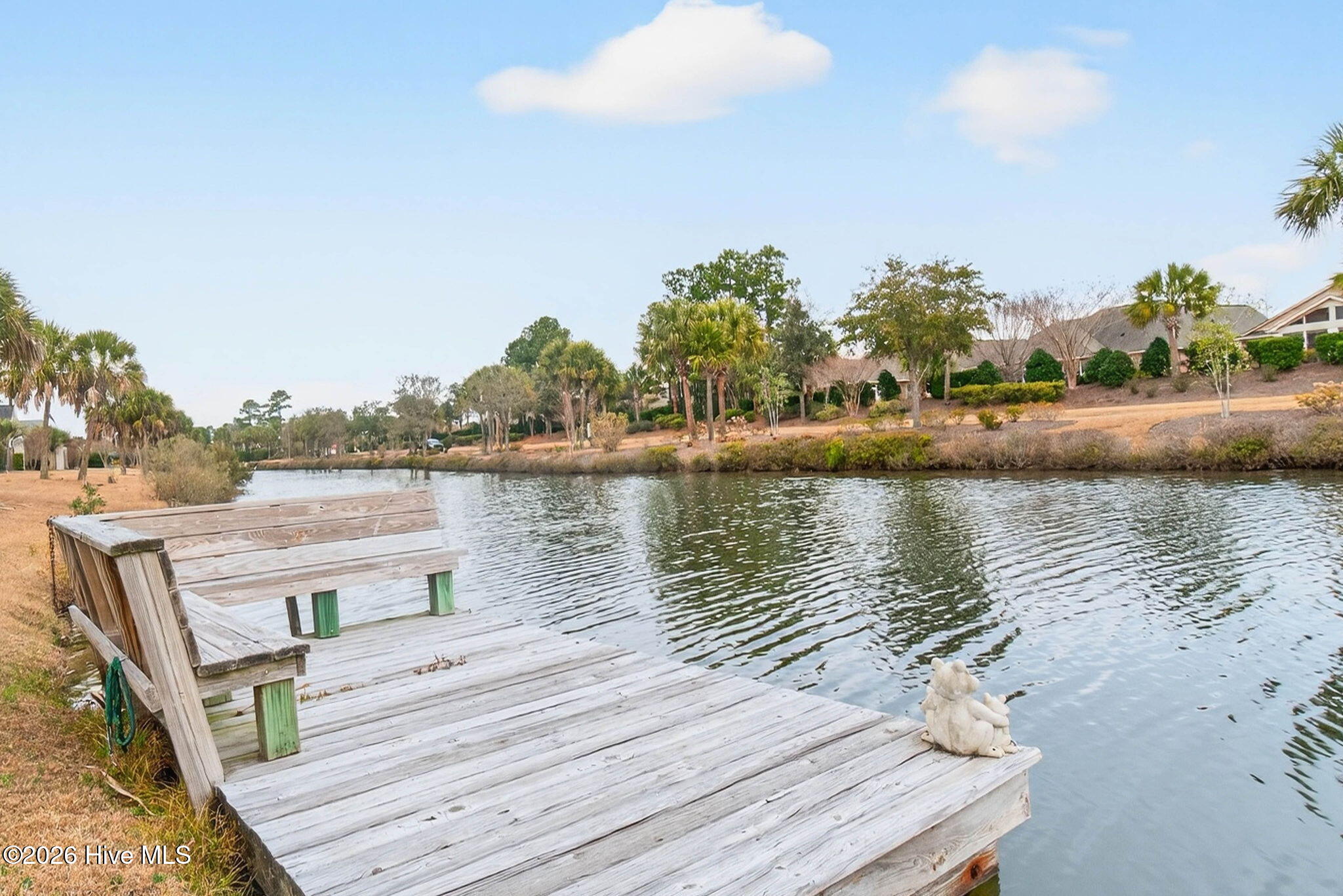 100556001 | Photo 29