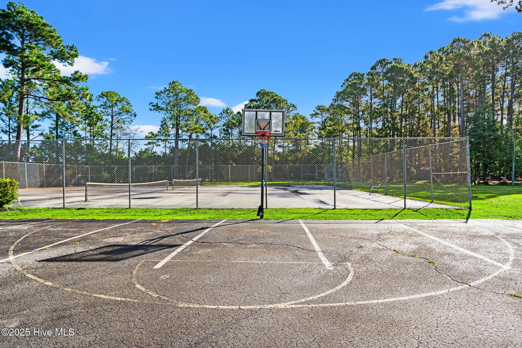 100535002 | Photo 39