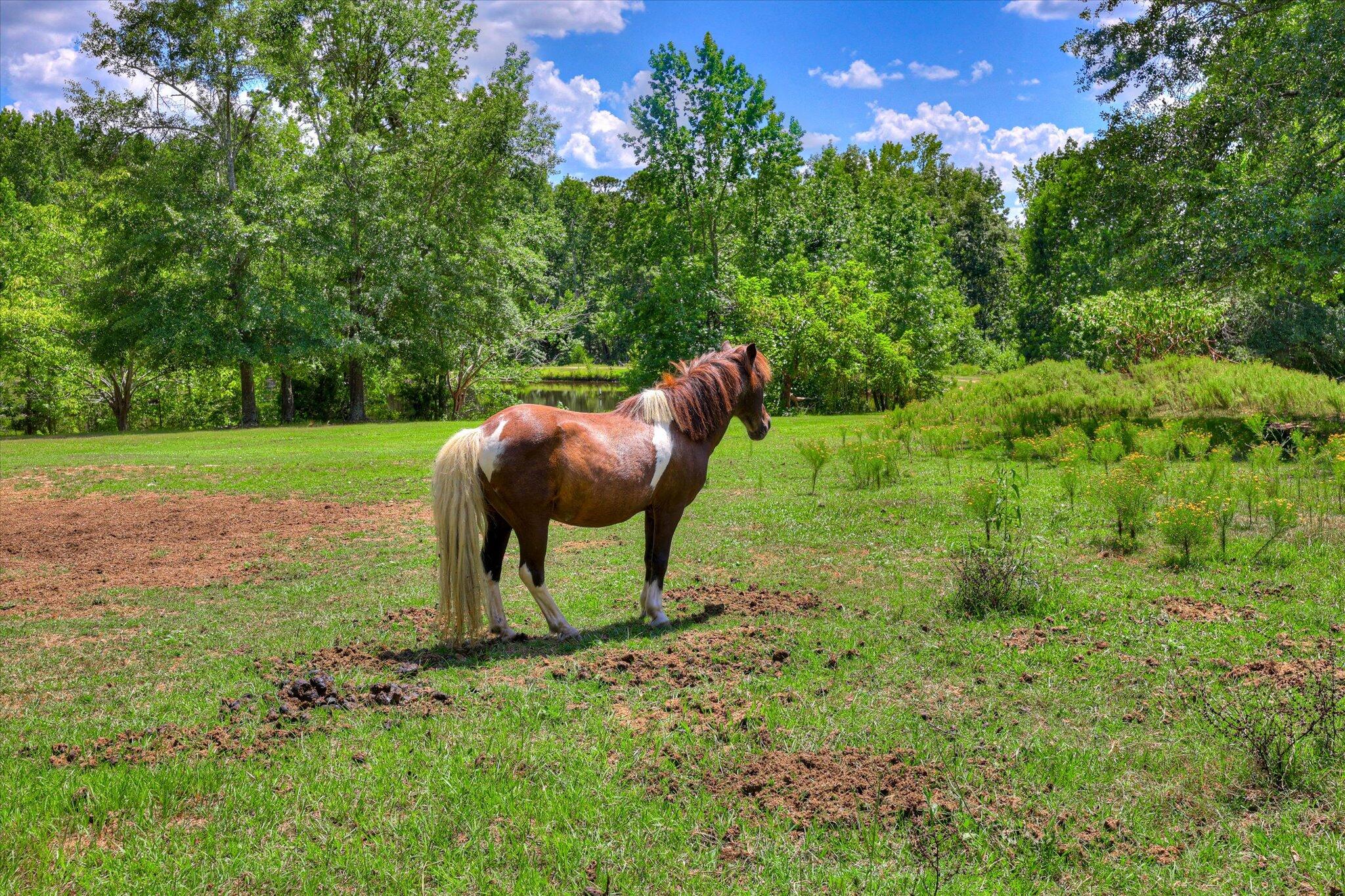 425 Whiskey Road, Grovetown, GA, 30813