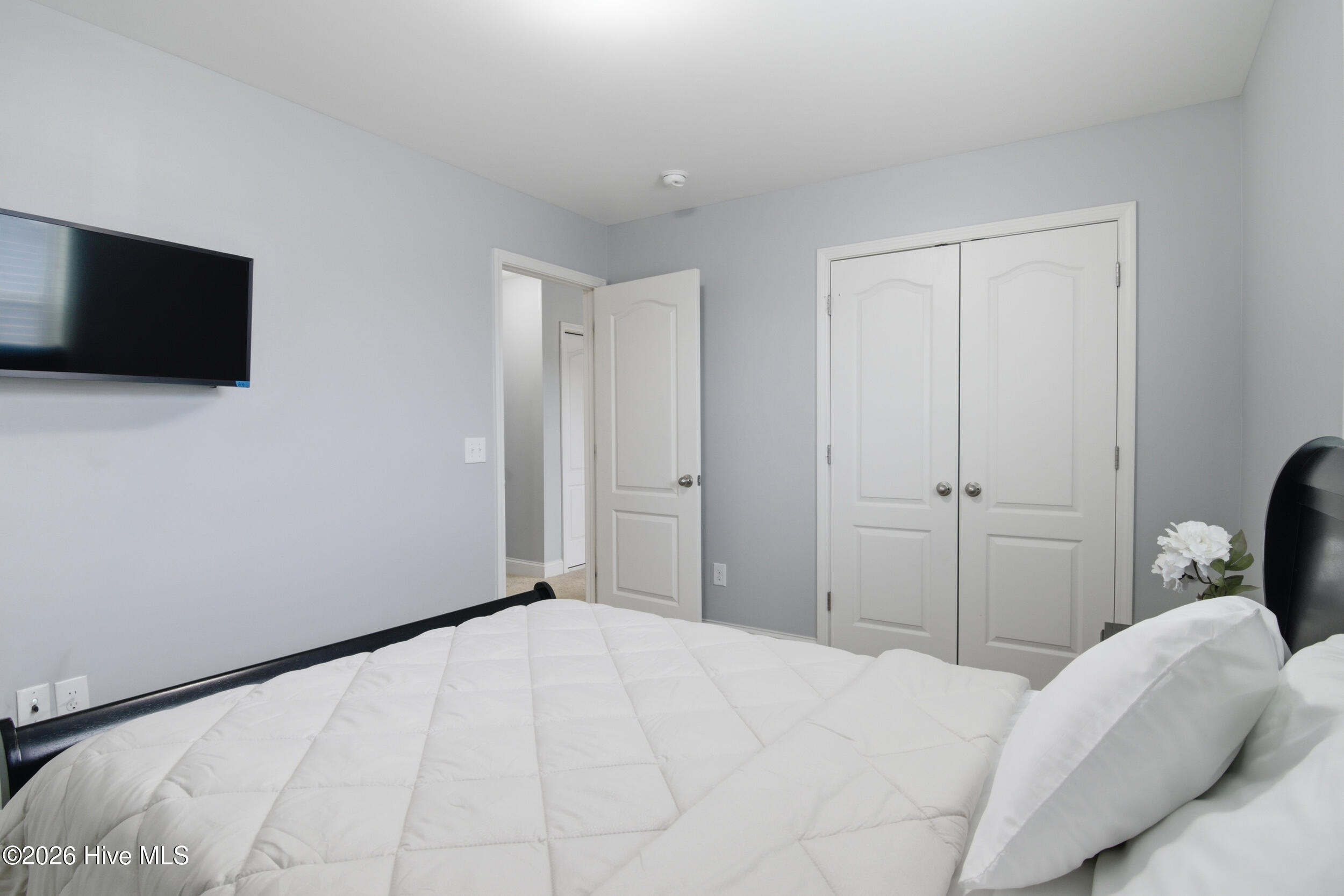 100556252 | Photo 41