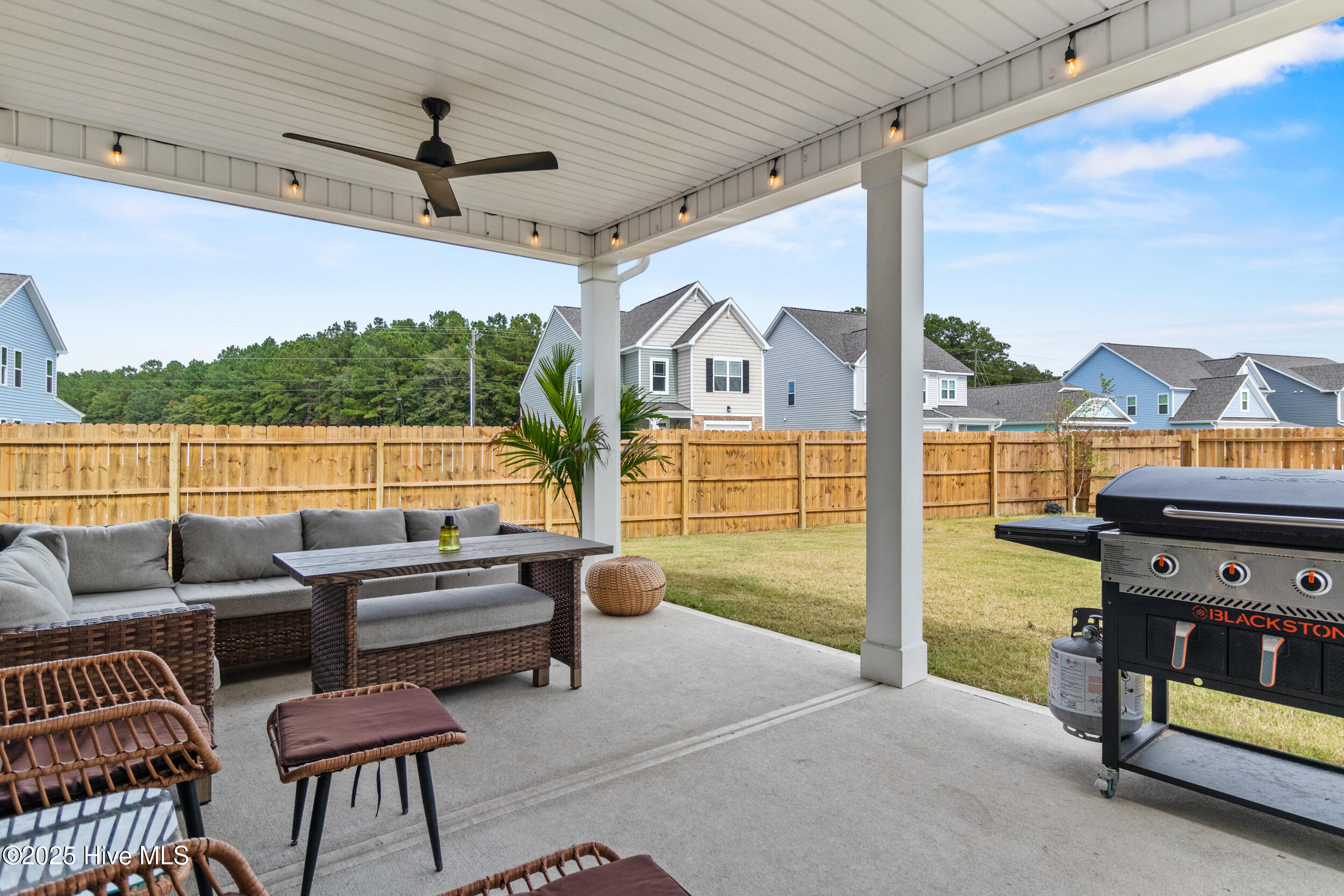 100563734 | Photo 44