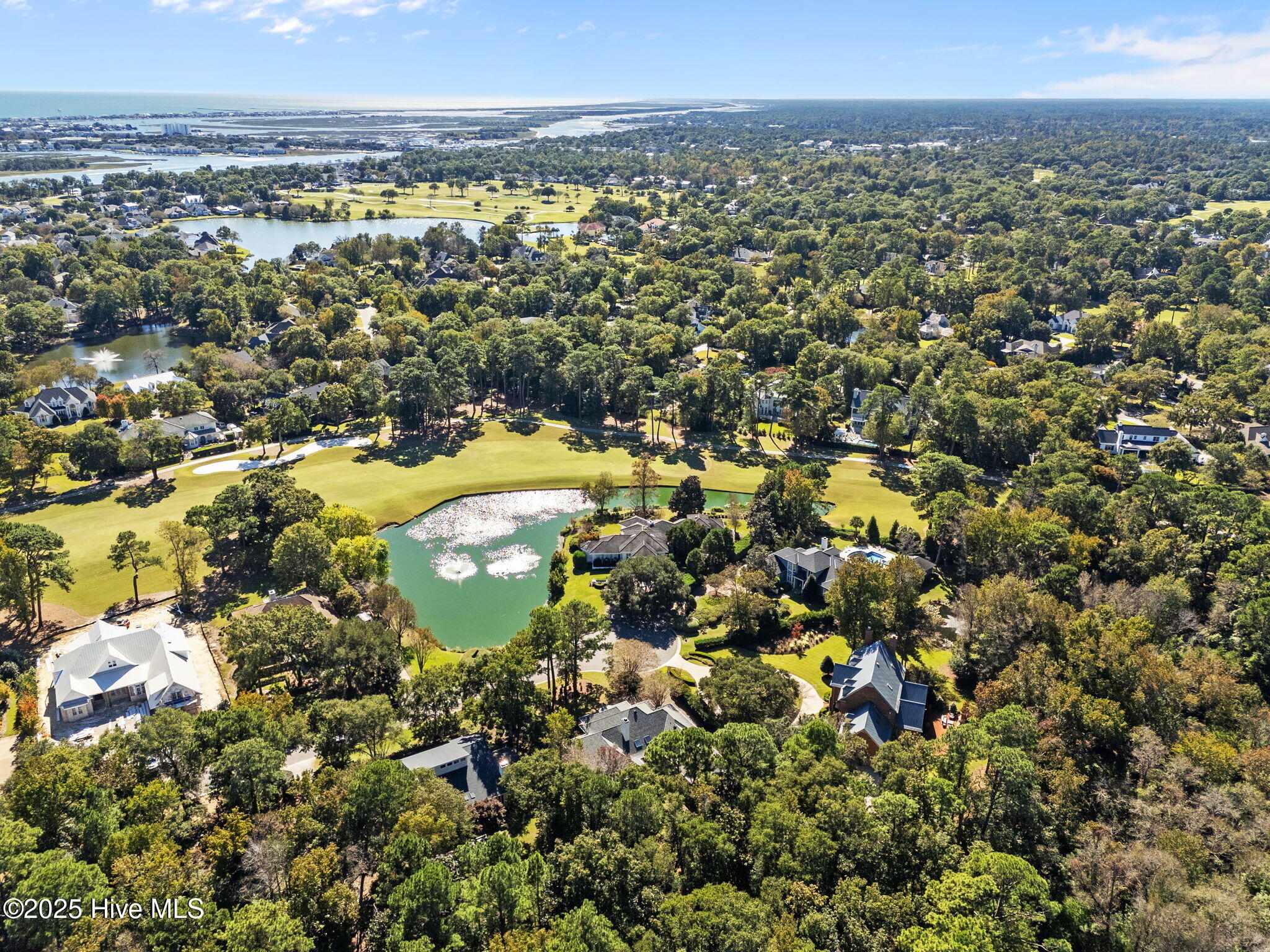 100537269 | Photo 70