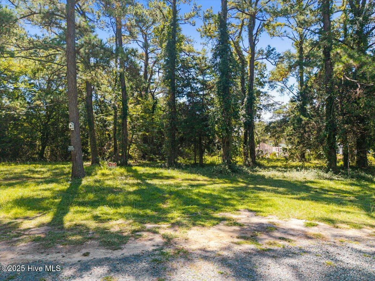 100538568 | Photo 24