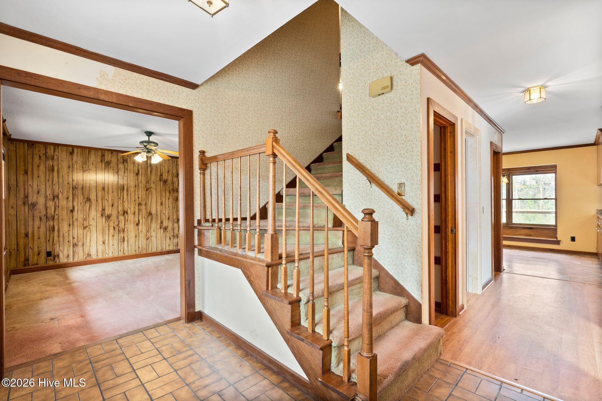 100555910 | Photo 14