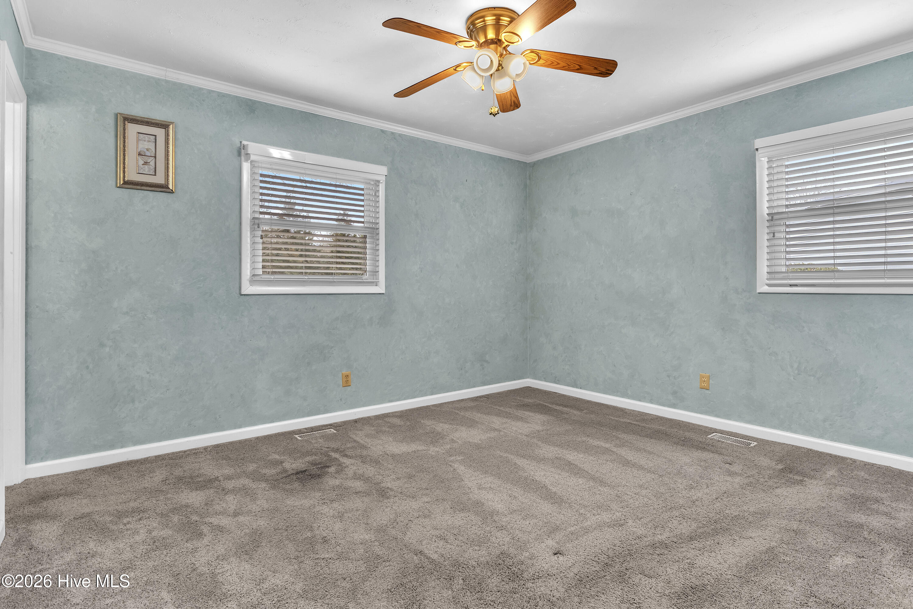 100555841 | Photo 35