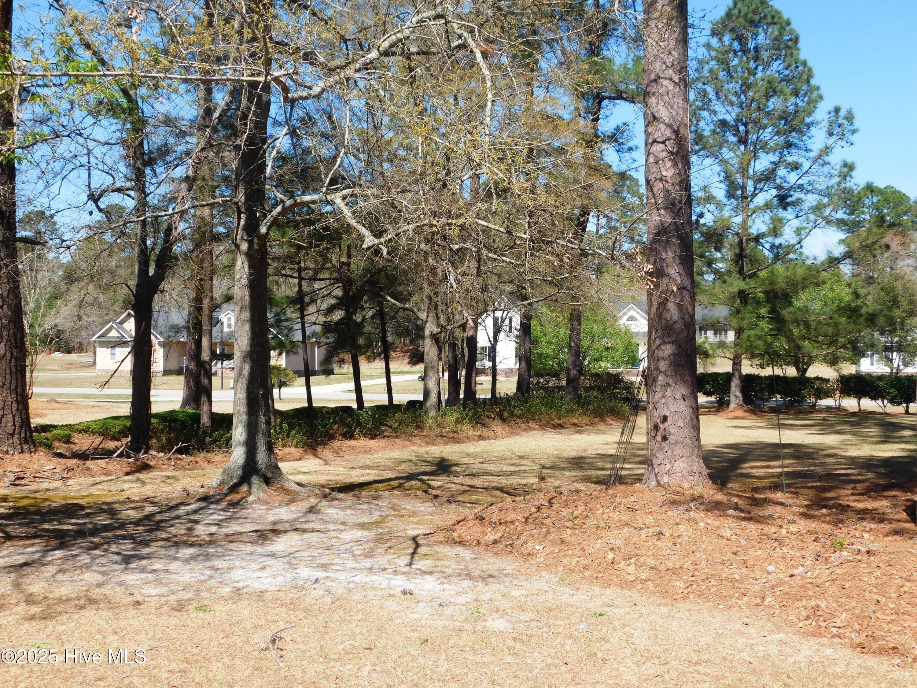 100429484 | Photo 26