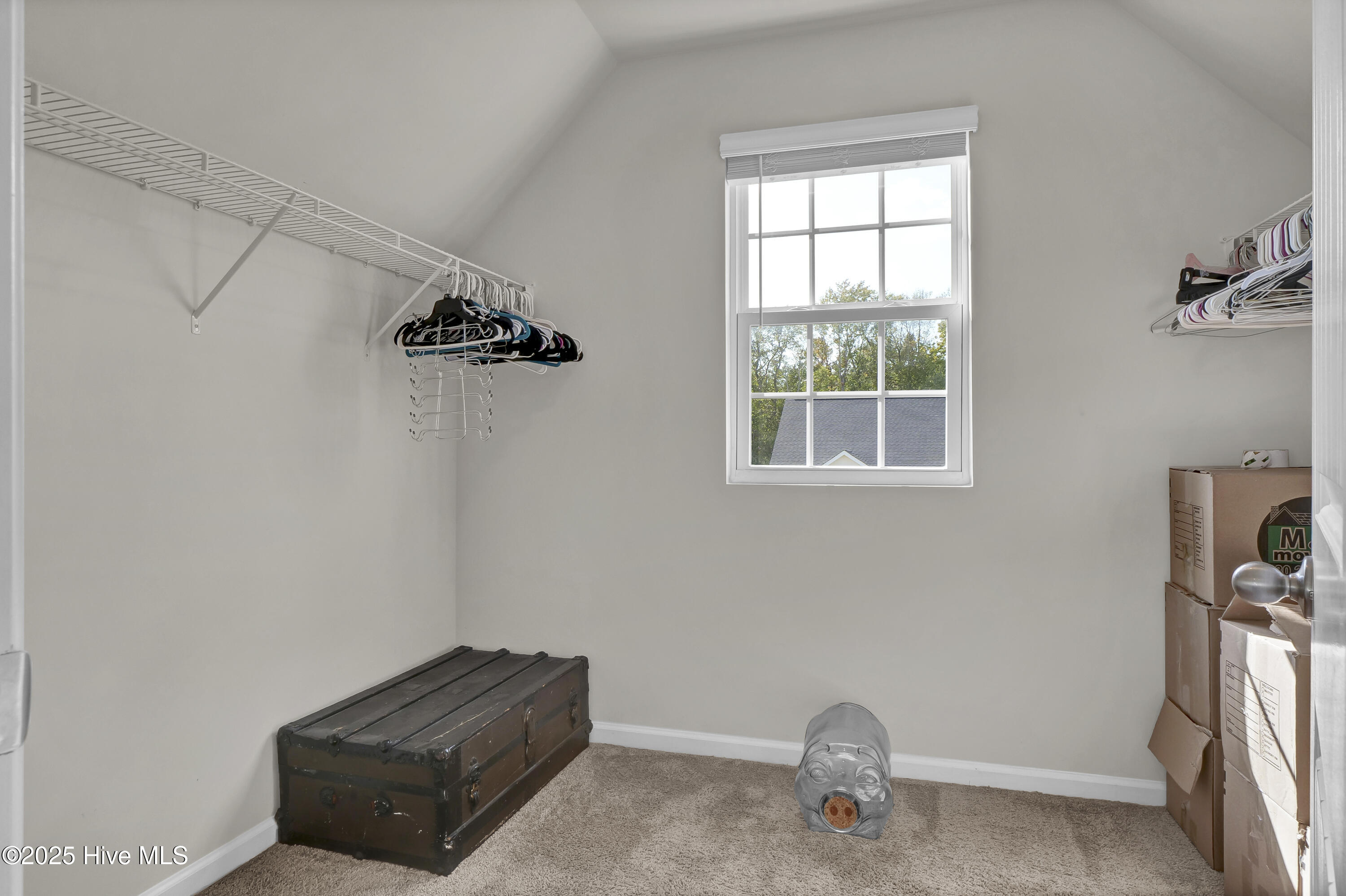 100533254 | Photo 23