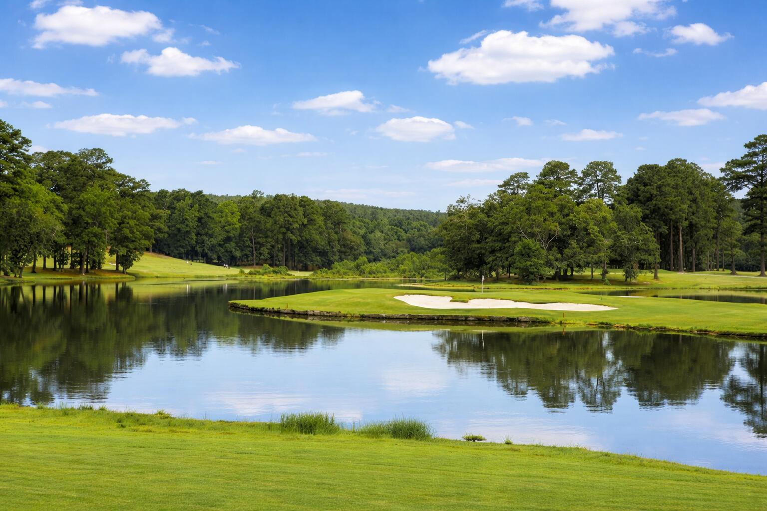 4119 Broxton Court, Hephzibah, GA, 30815