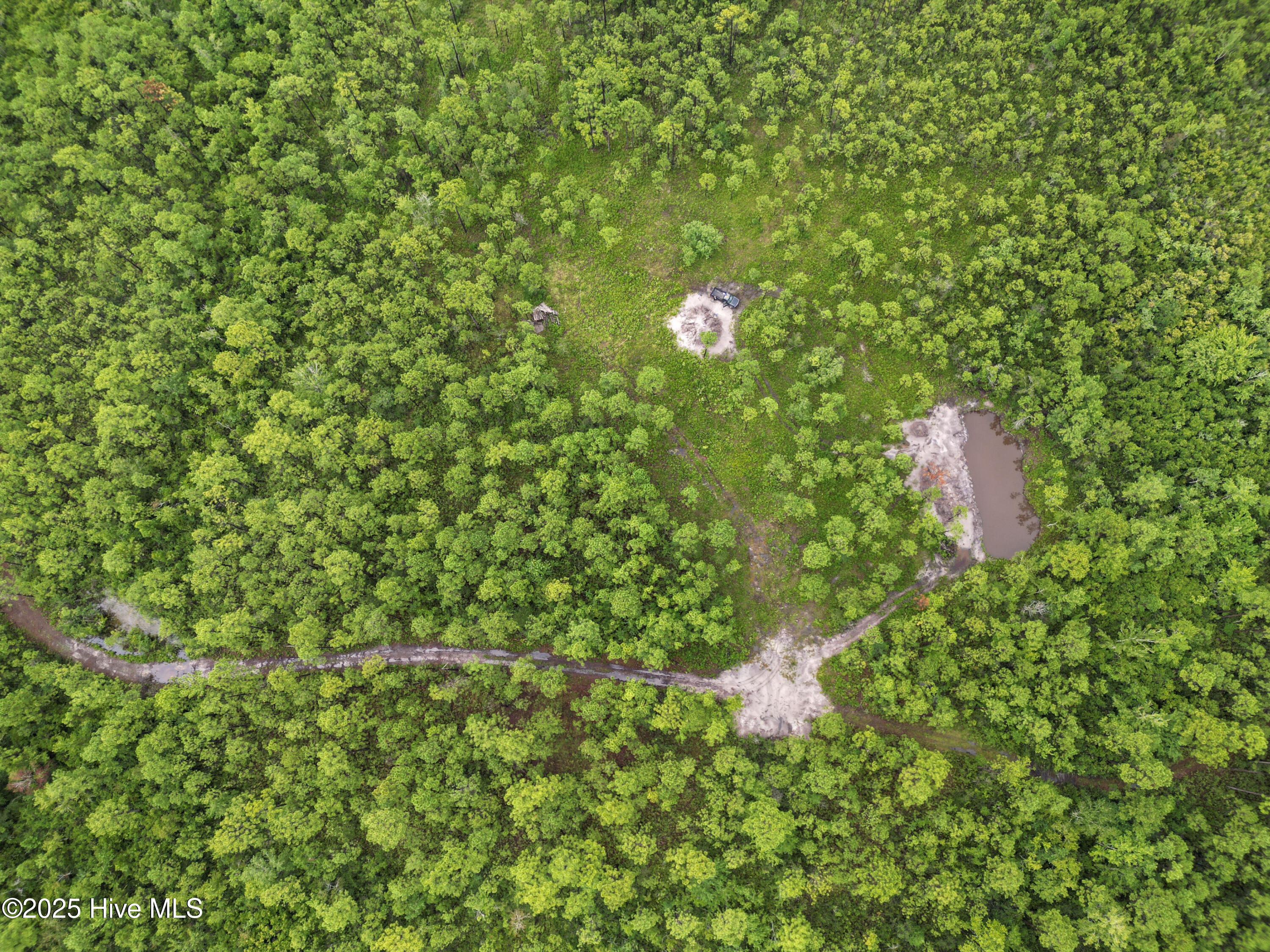 100525966 | Photo 19