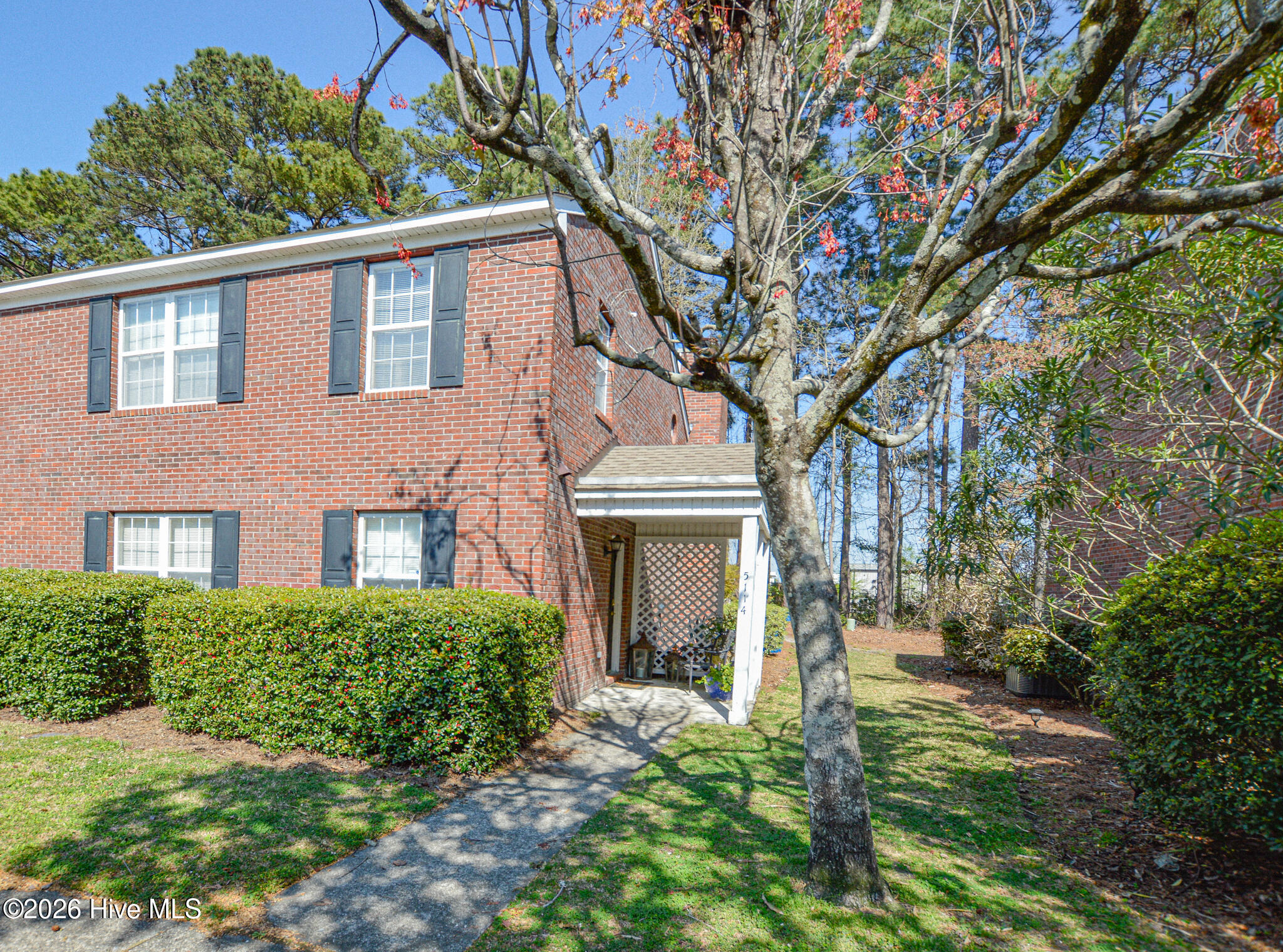 100566990 | Photo 21