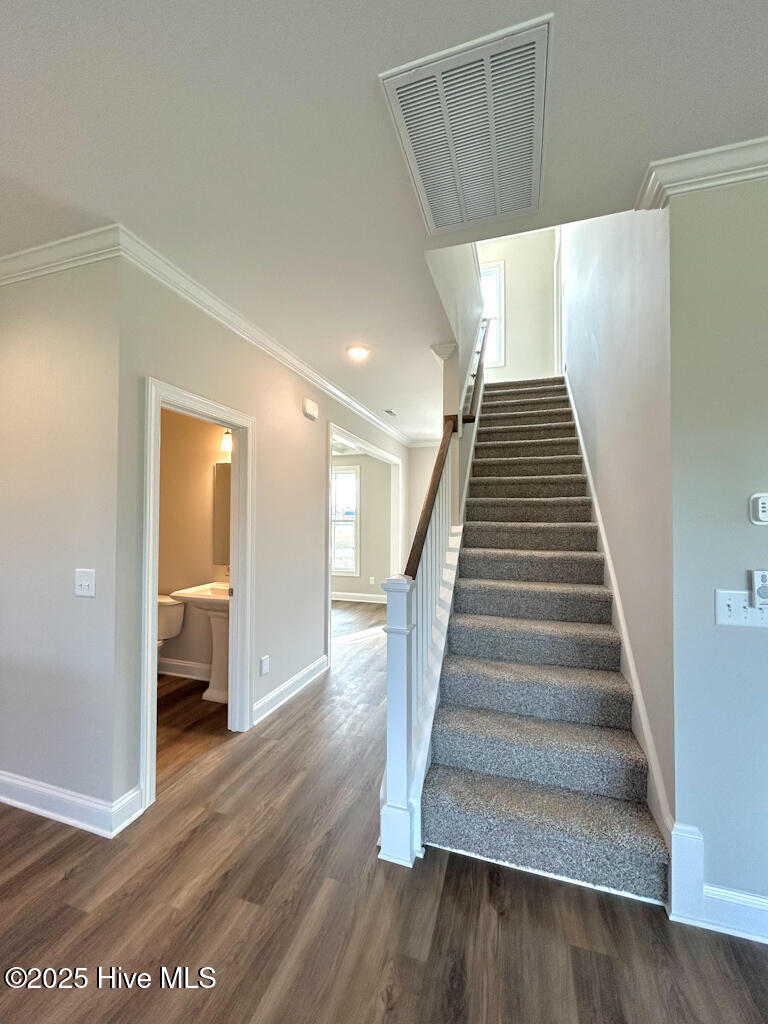 100535078 | Photo 28