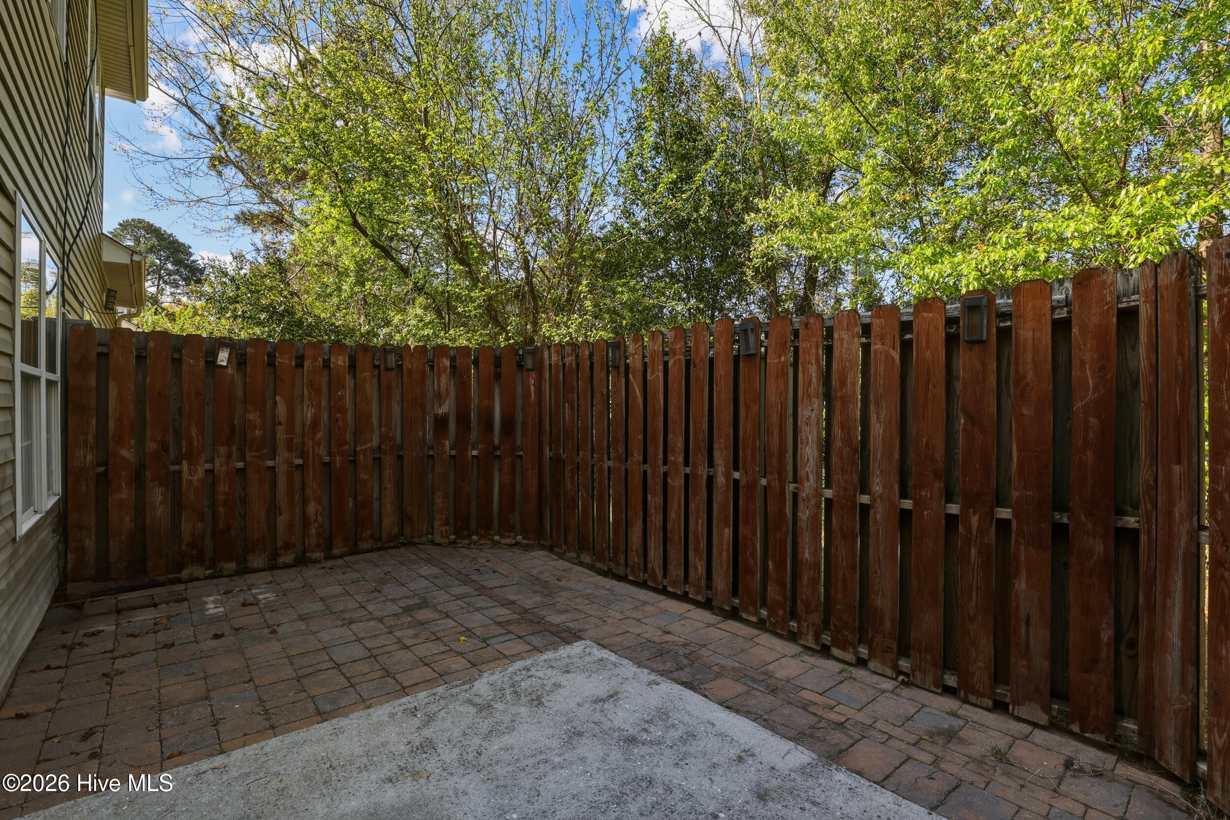 100564437 | Photo 34