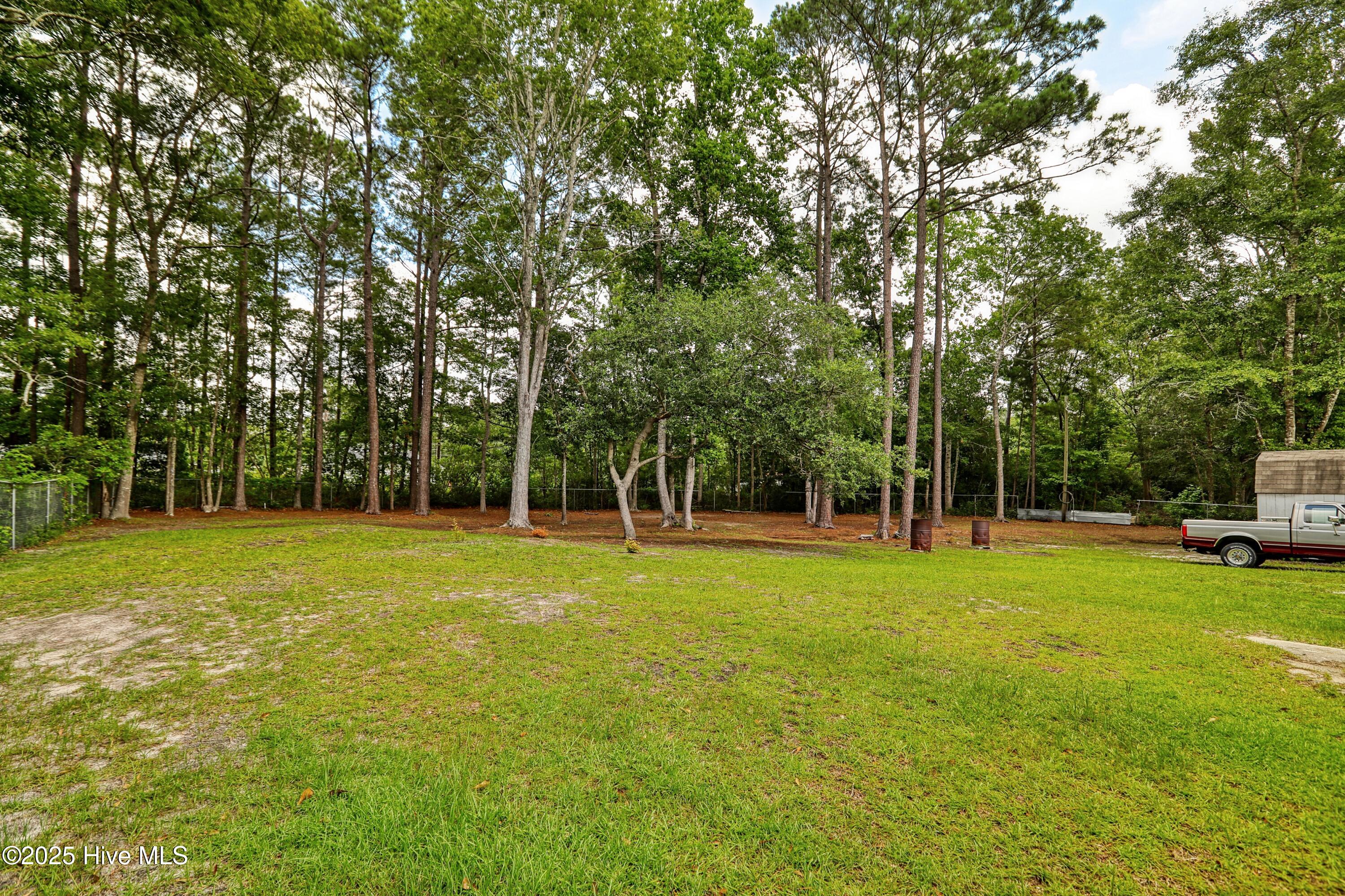 100517684 | Photo 60