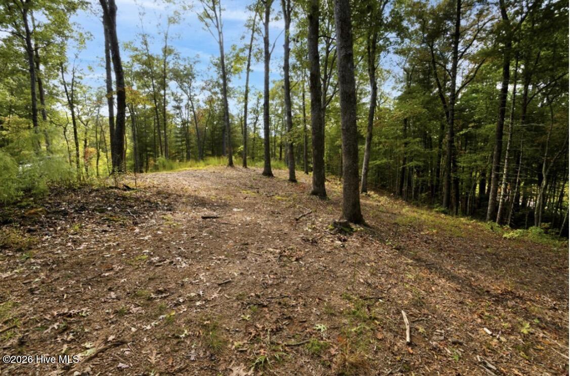 Exterior photo of Tbd Nature Valley Trail, Murphy, NC 28906. MLS: 100594137