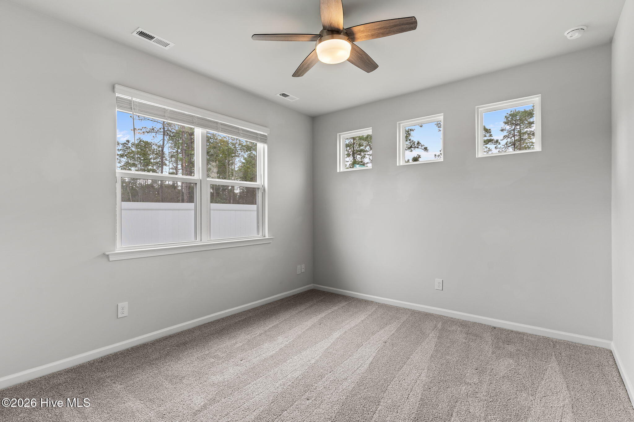 100563227 | Photo 14