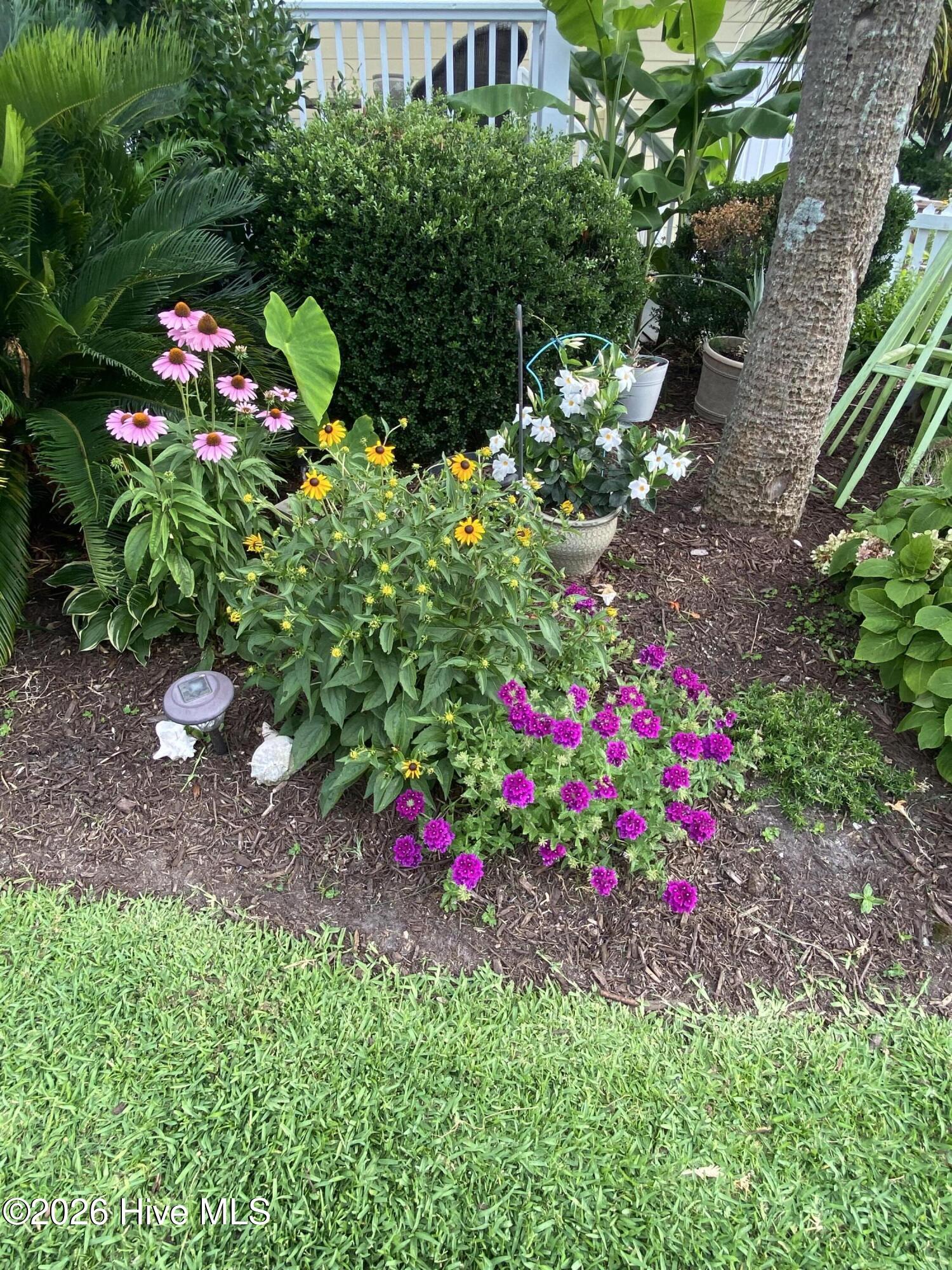 100566158 | Photo 66